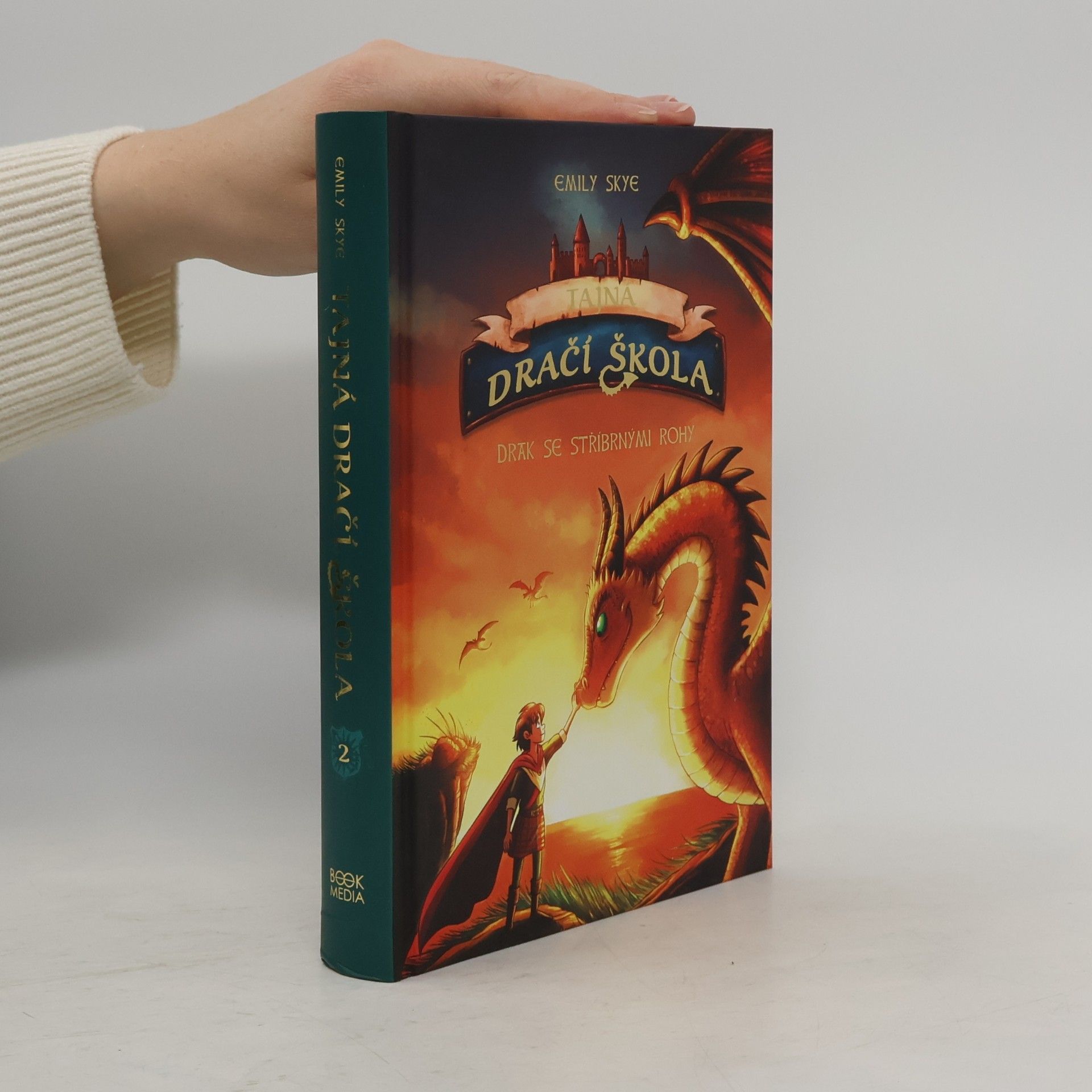 Tajná dračí škola: Drak se stříbrnými rohy
