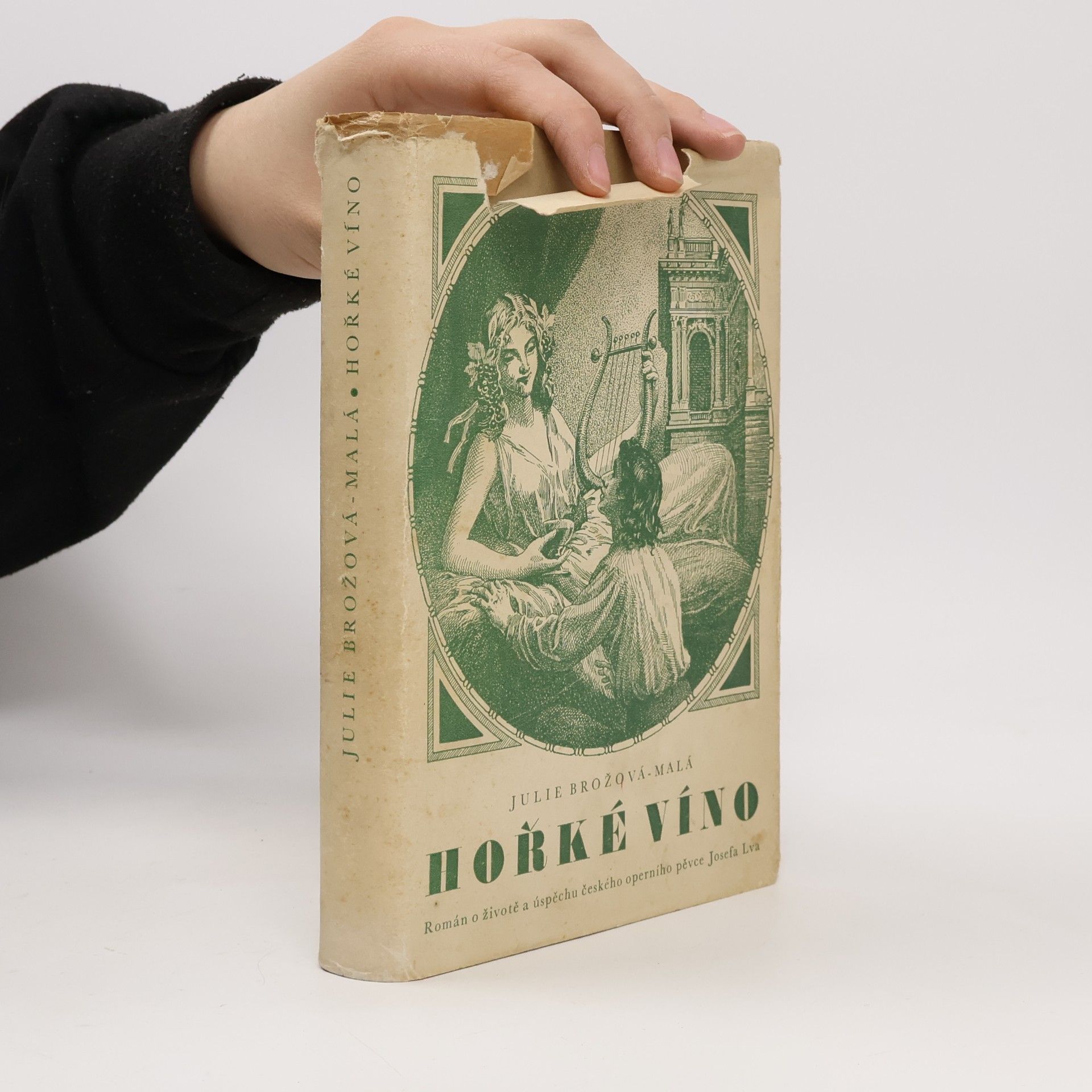 Julie Brožová Malá Hořké víno