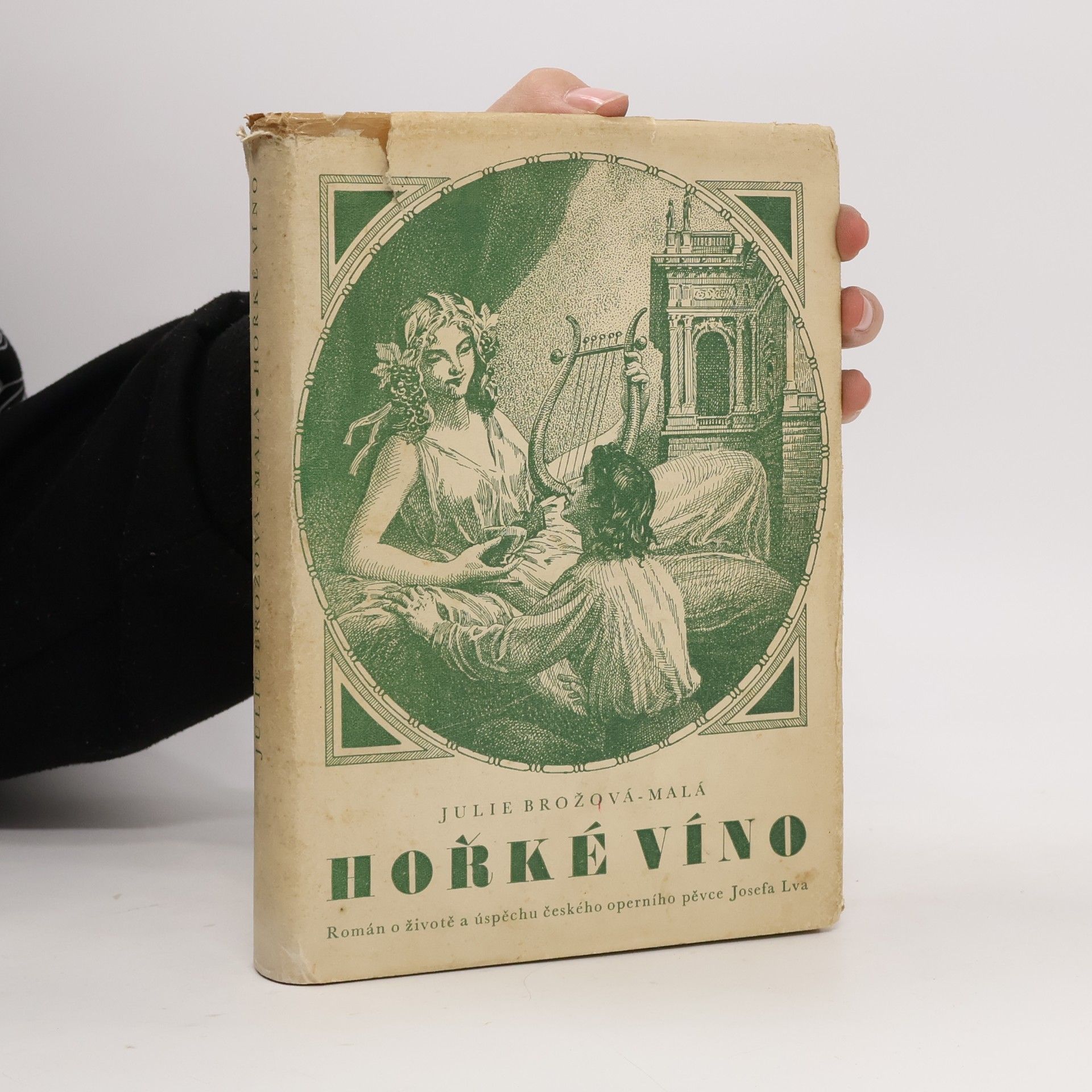 Julie Brožová Malá Hořké víno