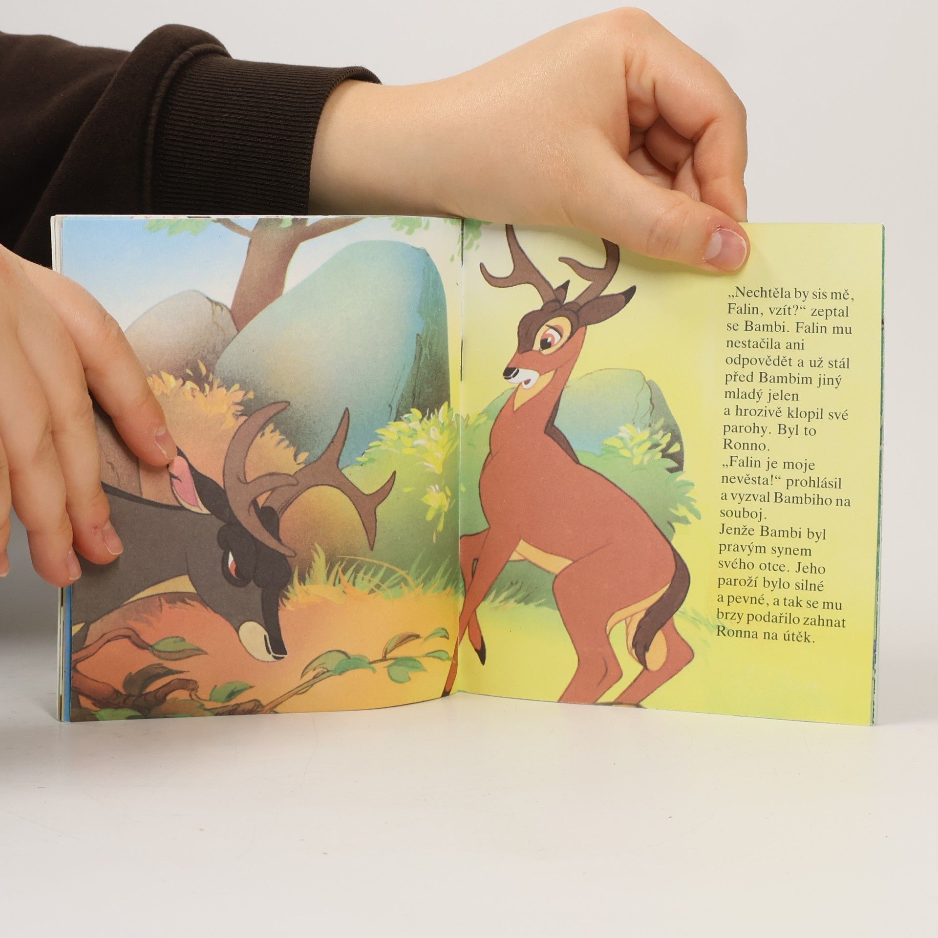 Autorenkollektiv Bambi