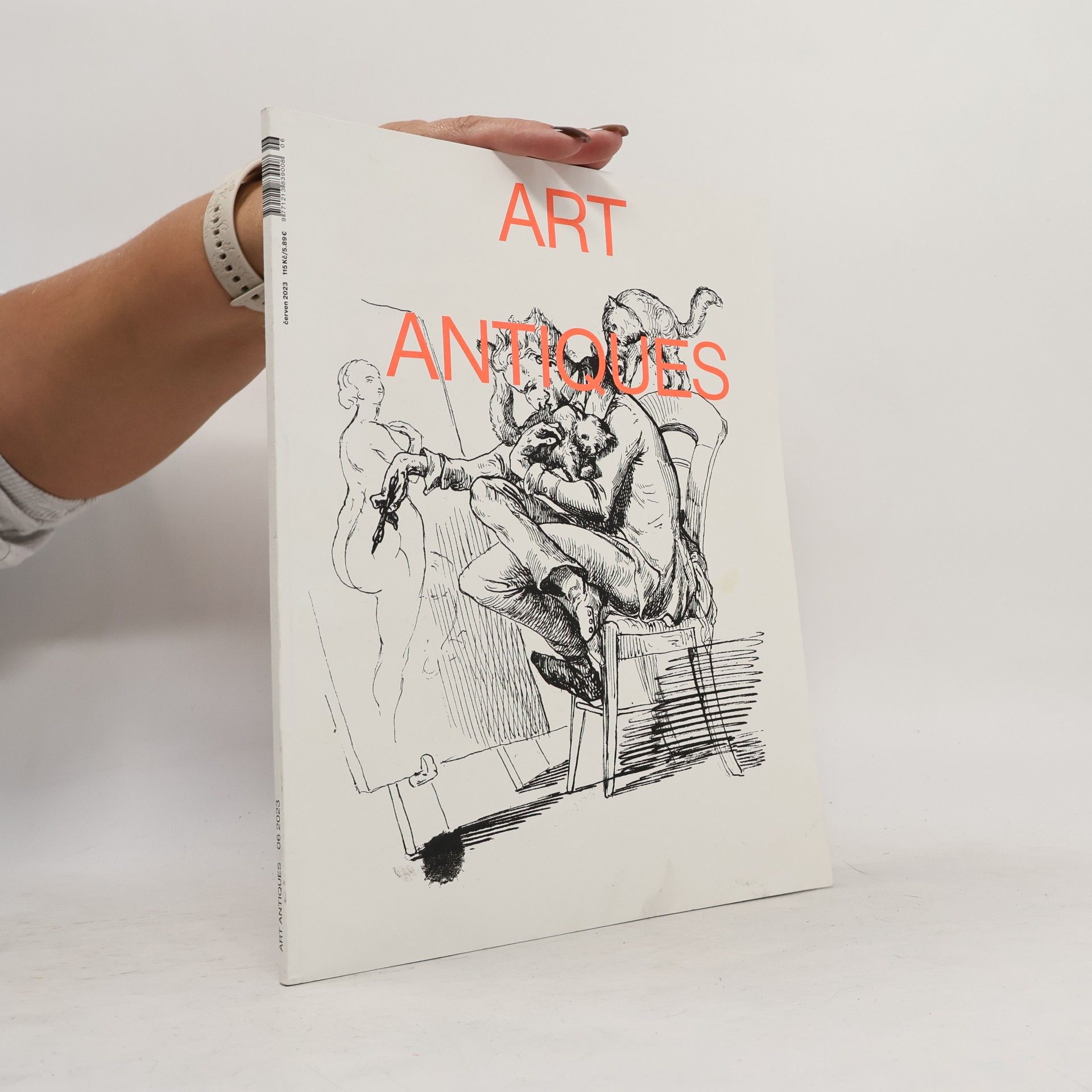 Kolektiv autorů Art Antiques.Letní výtvarný salon