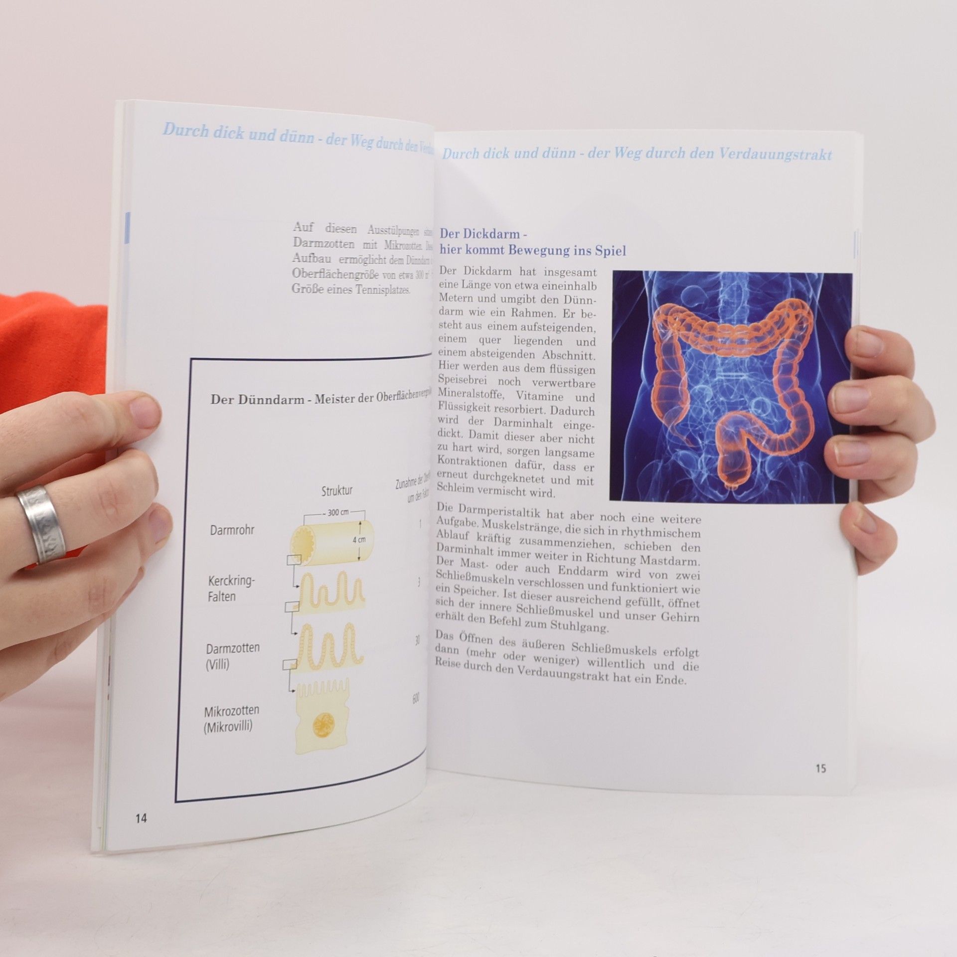 Katharina Sonnleitner Der Darm - Zentrum Ihrer Gesundheit
