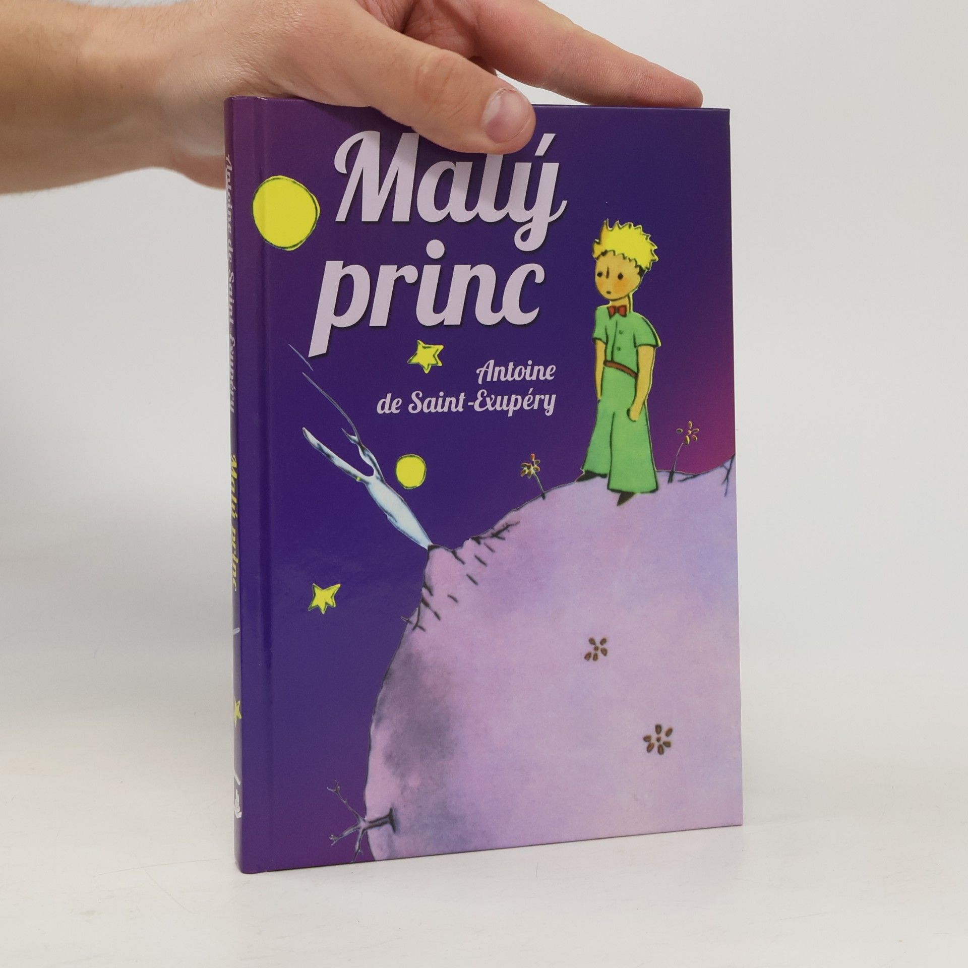 Kolektiv autorů Malý princ