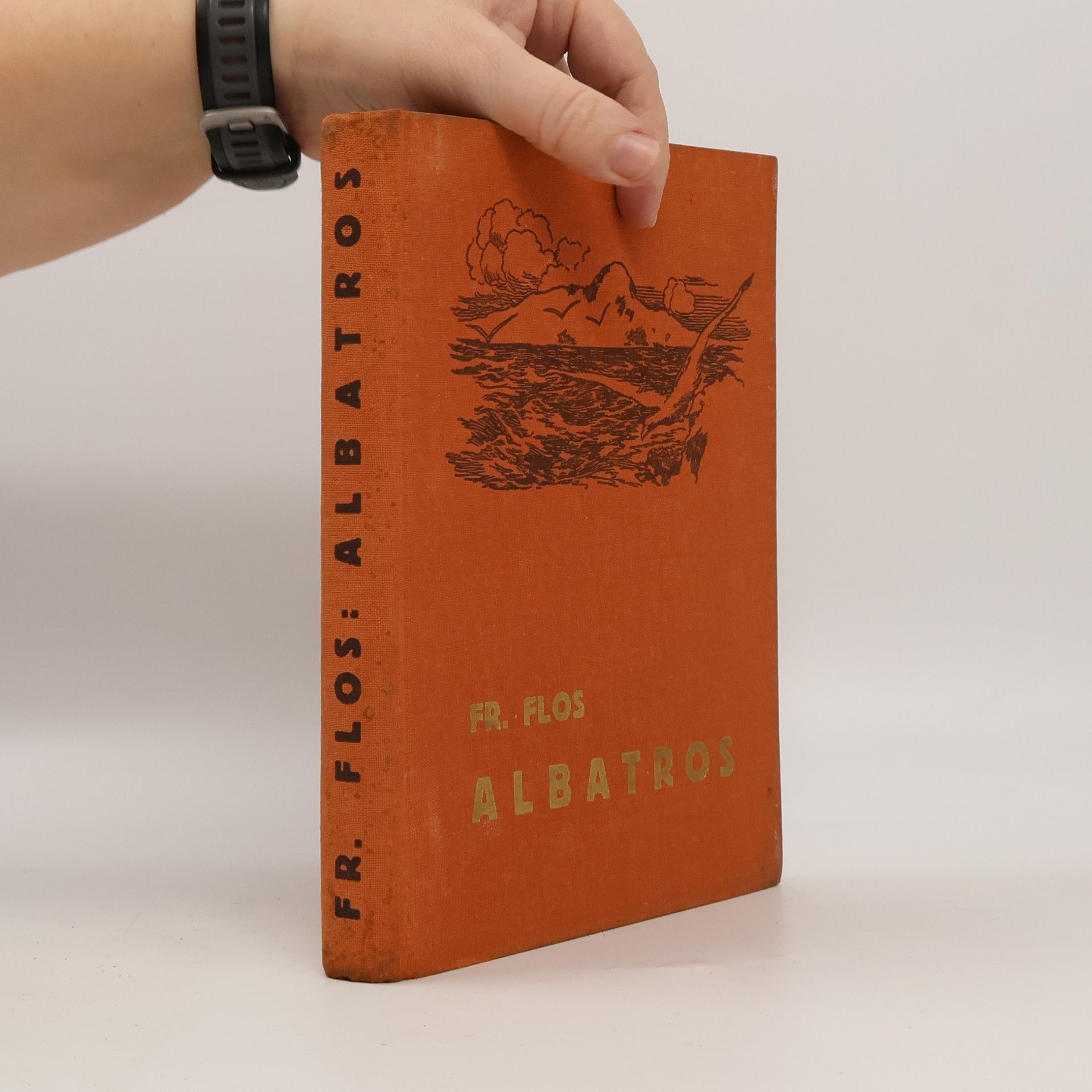 Albatros : dobrodružný román z Molukk