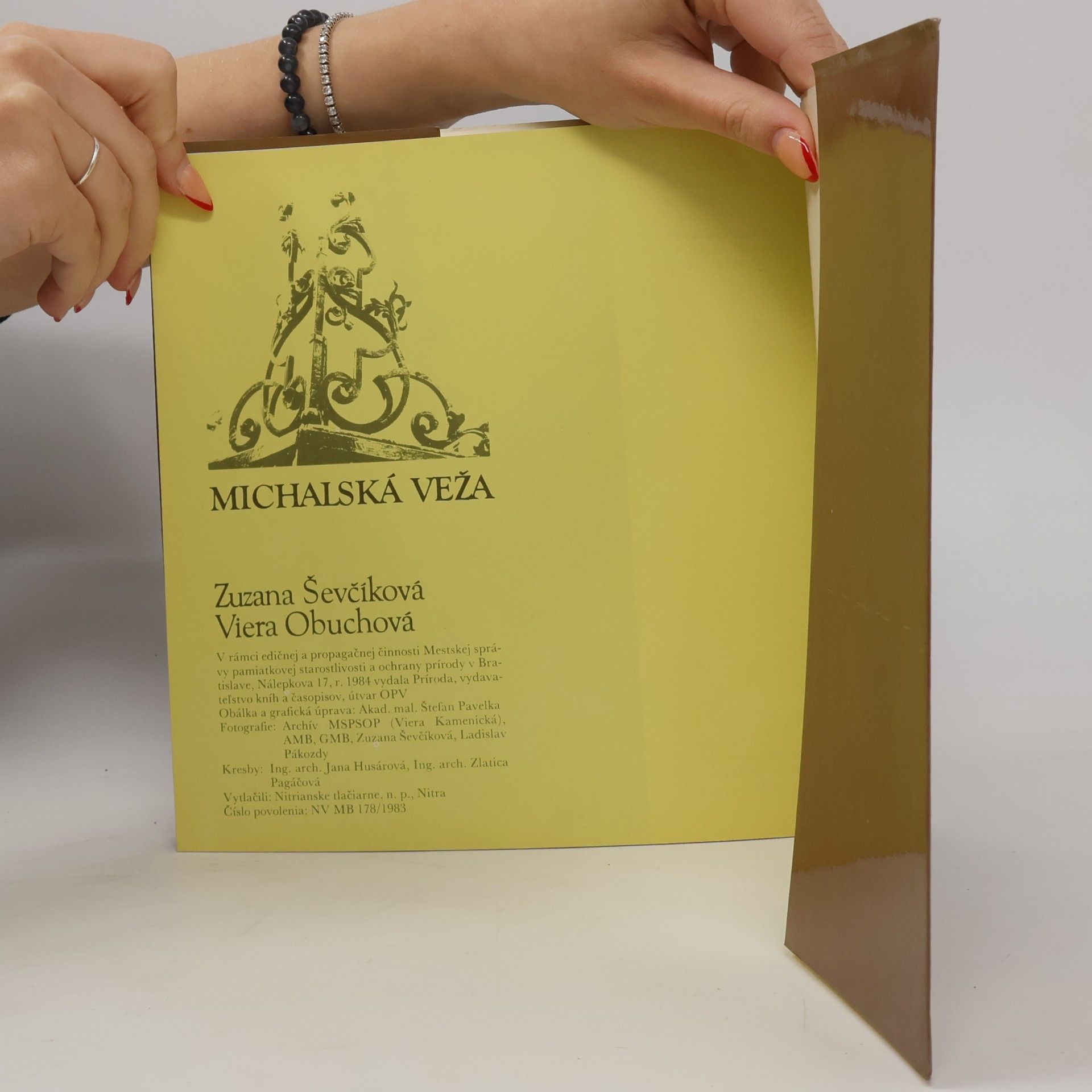 Zuzana Sevciková Michalská veža