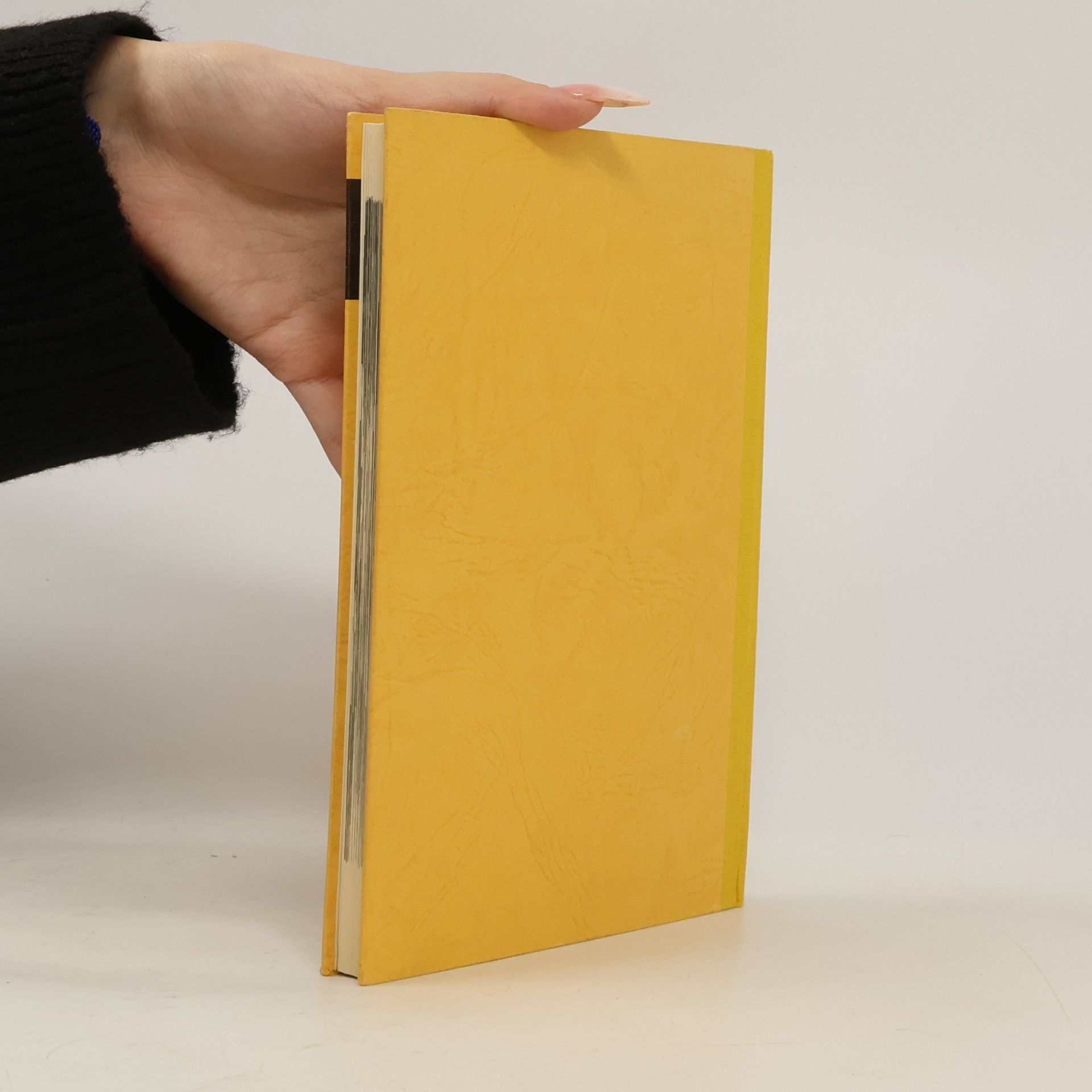 Wilhelm Jungmann Schachenmayr Lehrbuch der Handarbeiten aus Wolle. Band 1