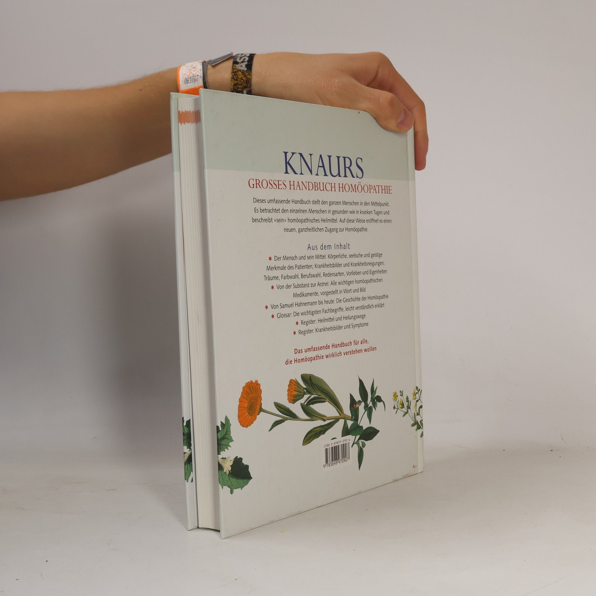 Michael Helfferich Knaurs grosses Handbuch Homöopathie
