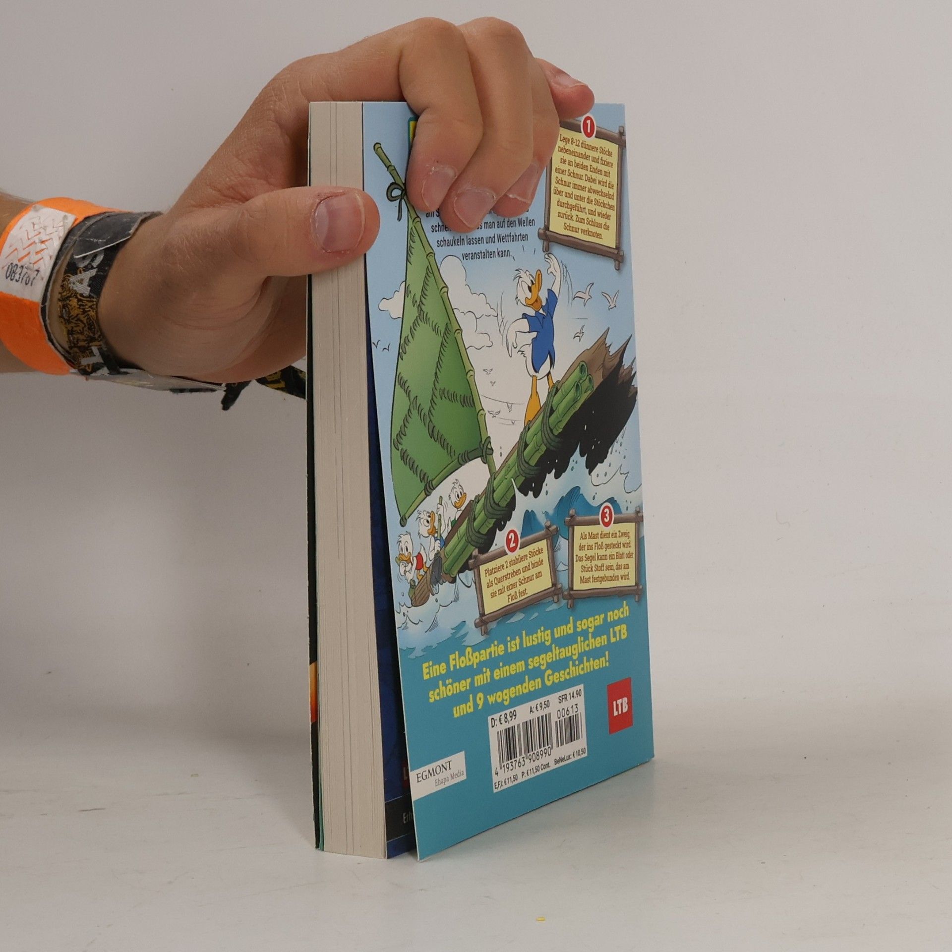 Manuela Buchholz Walt Disney Lustiges Taschenbuch 613