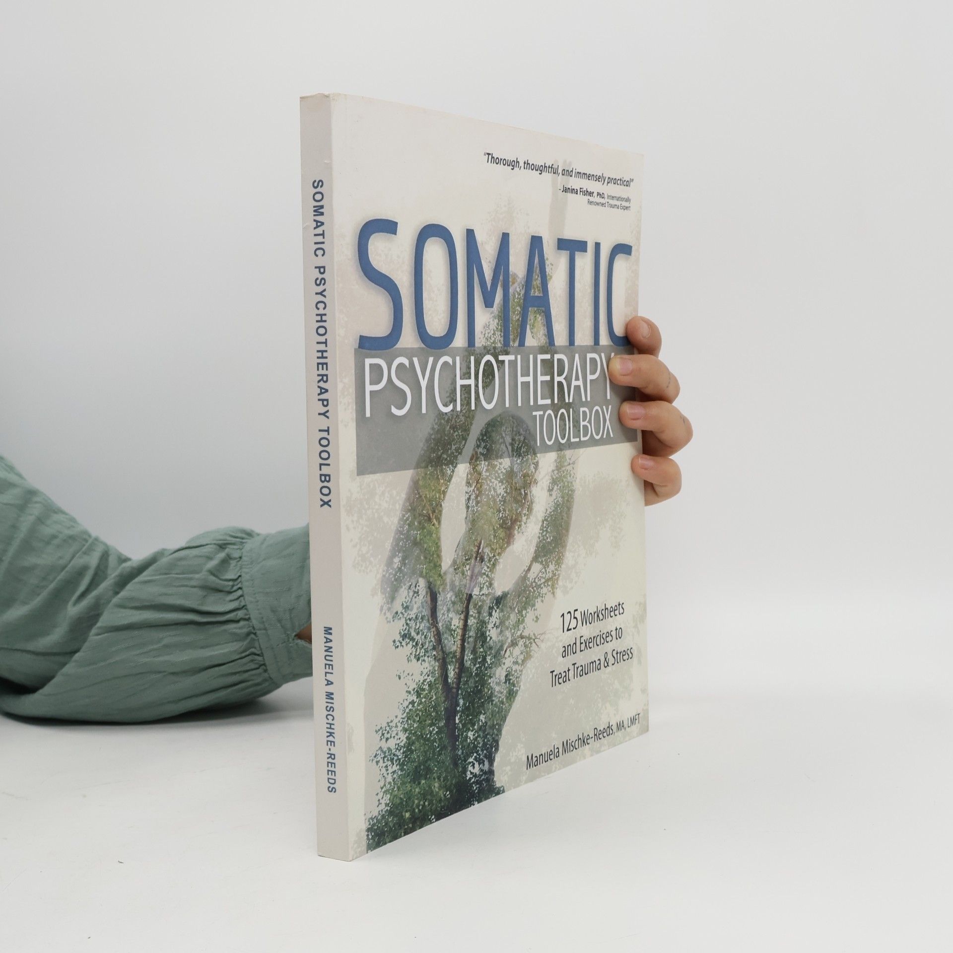 Somatic Psychotherapy Toolbox