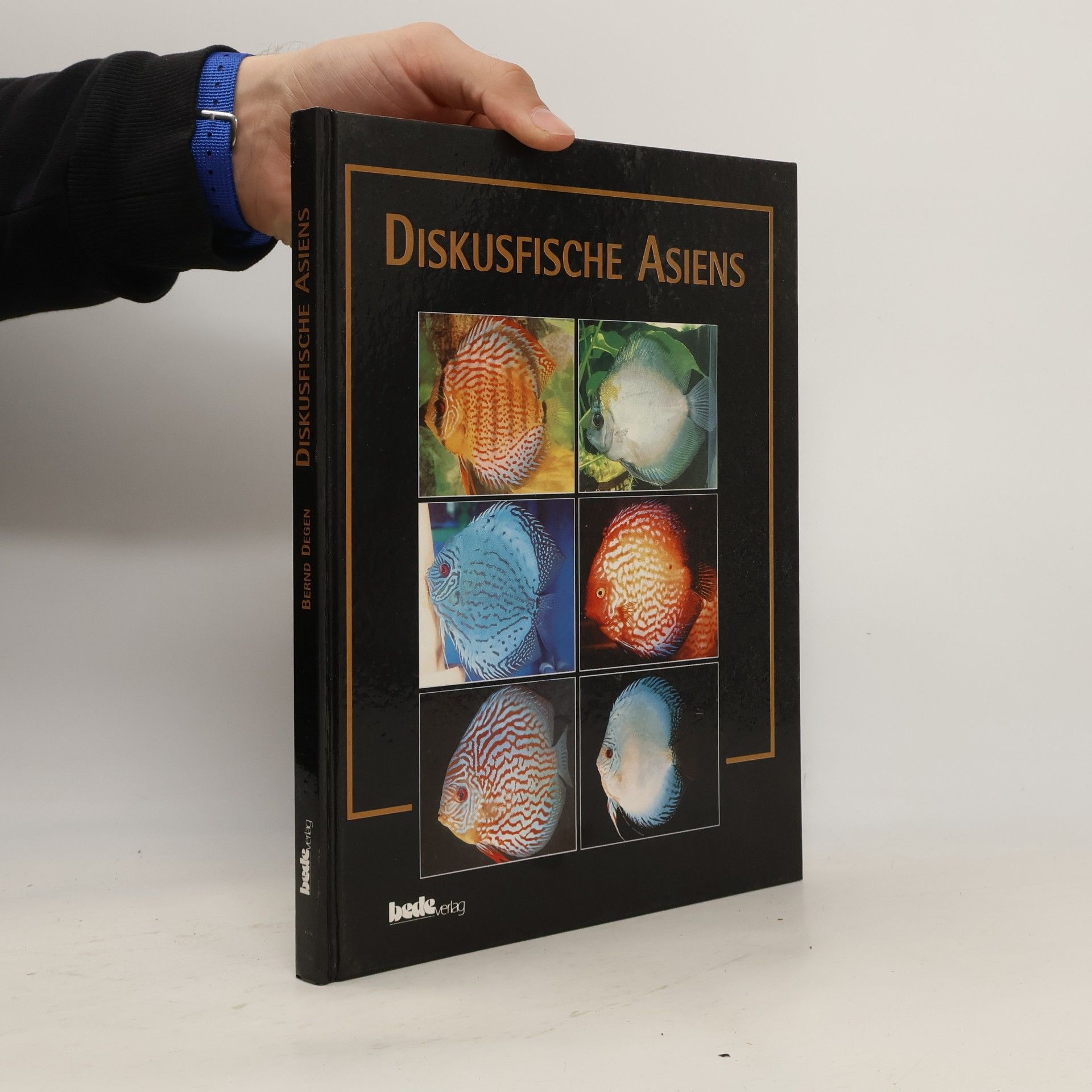 Diskusfische Asiens