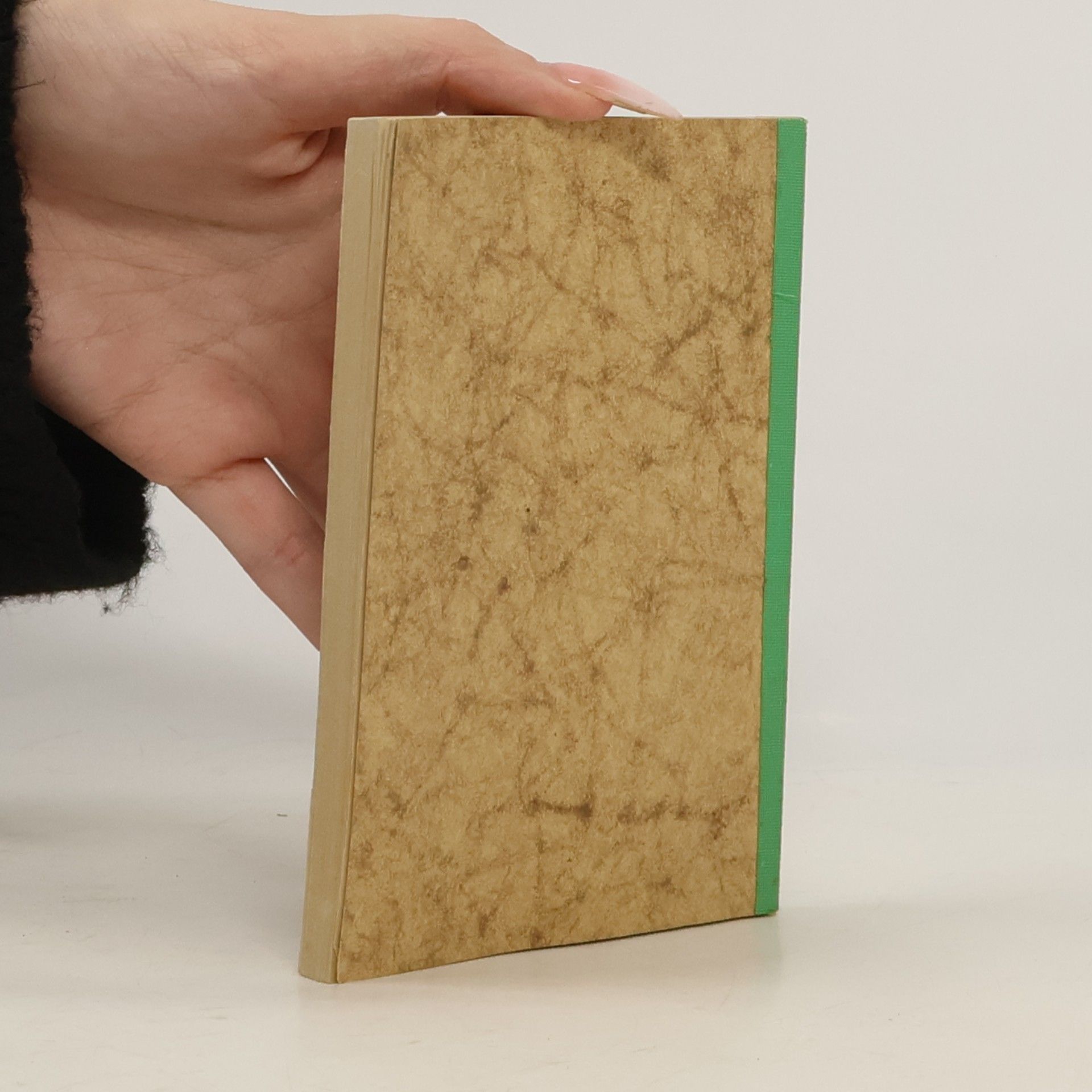 Kolektív autorov Handelsgesetzbuch A2