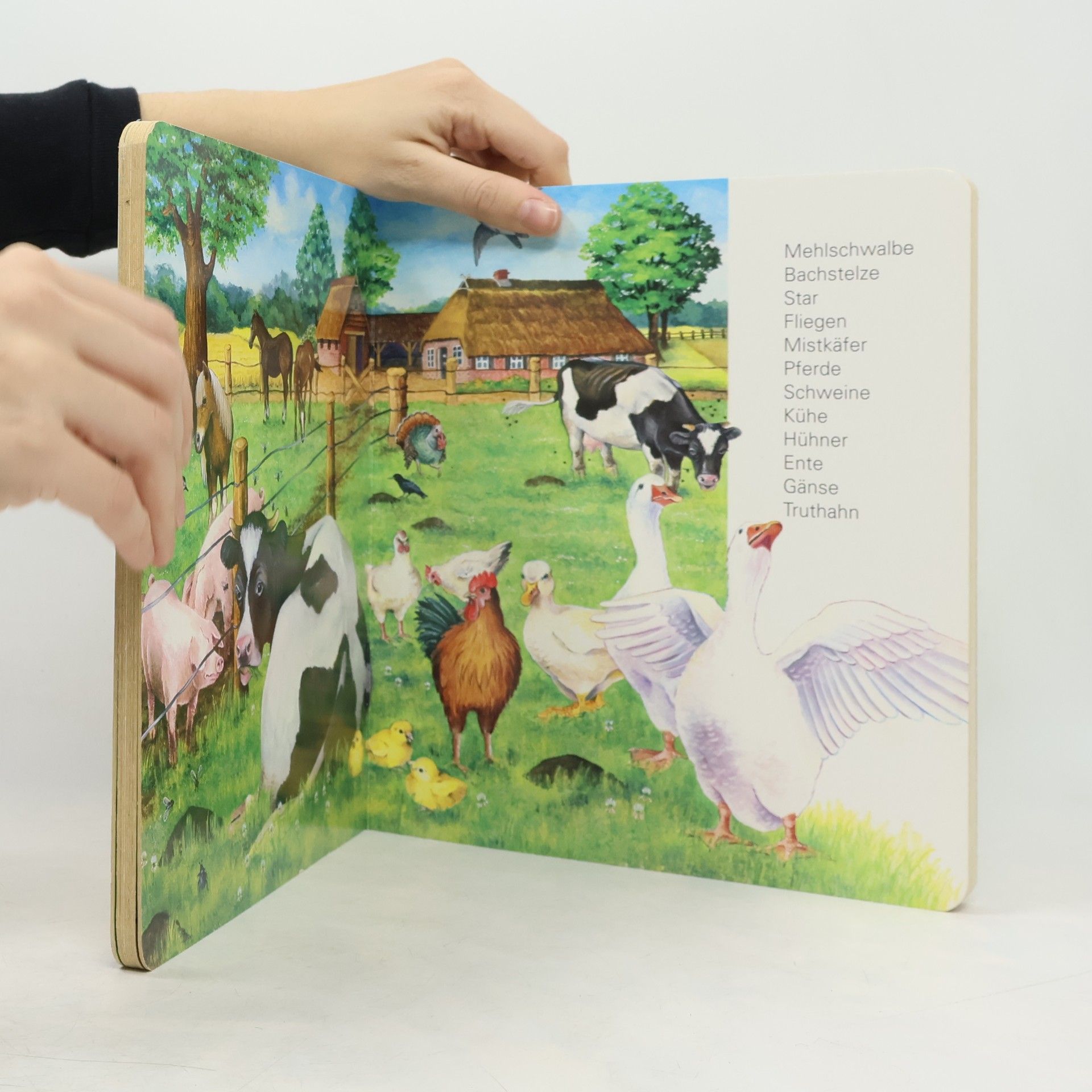 Kolektiv autorů Ravensburger Bilderbuch