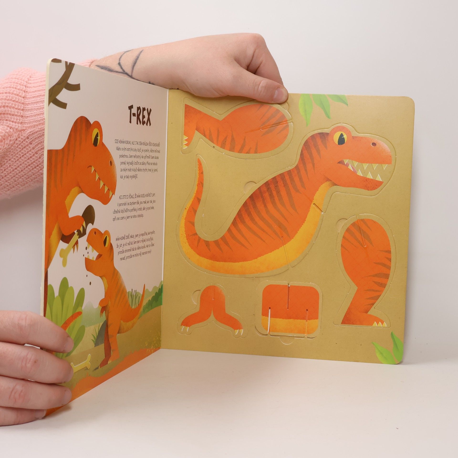 Ronny Gazzola Postav si svého dinosaura