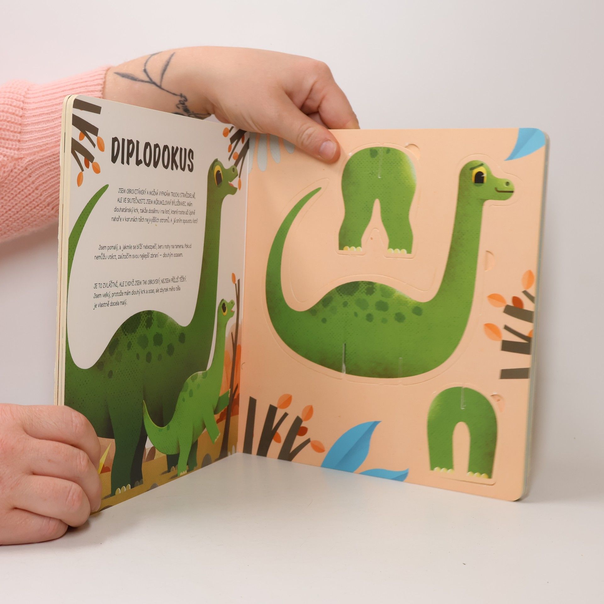 Ronny Gazzola Postav si svého dinosaura