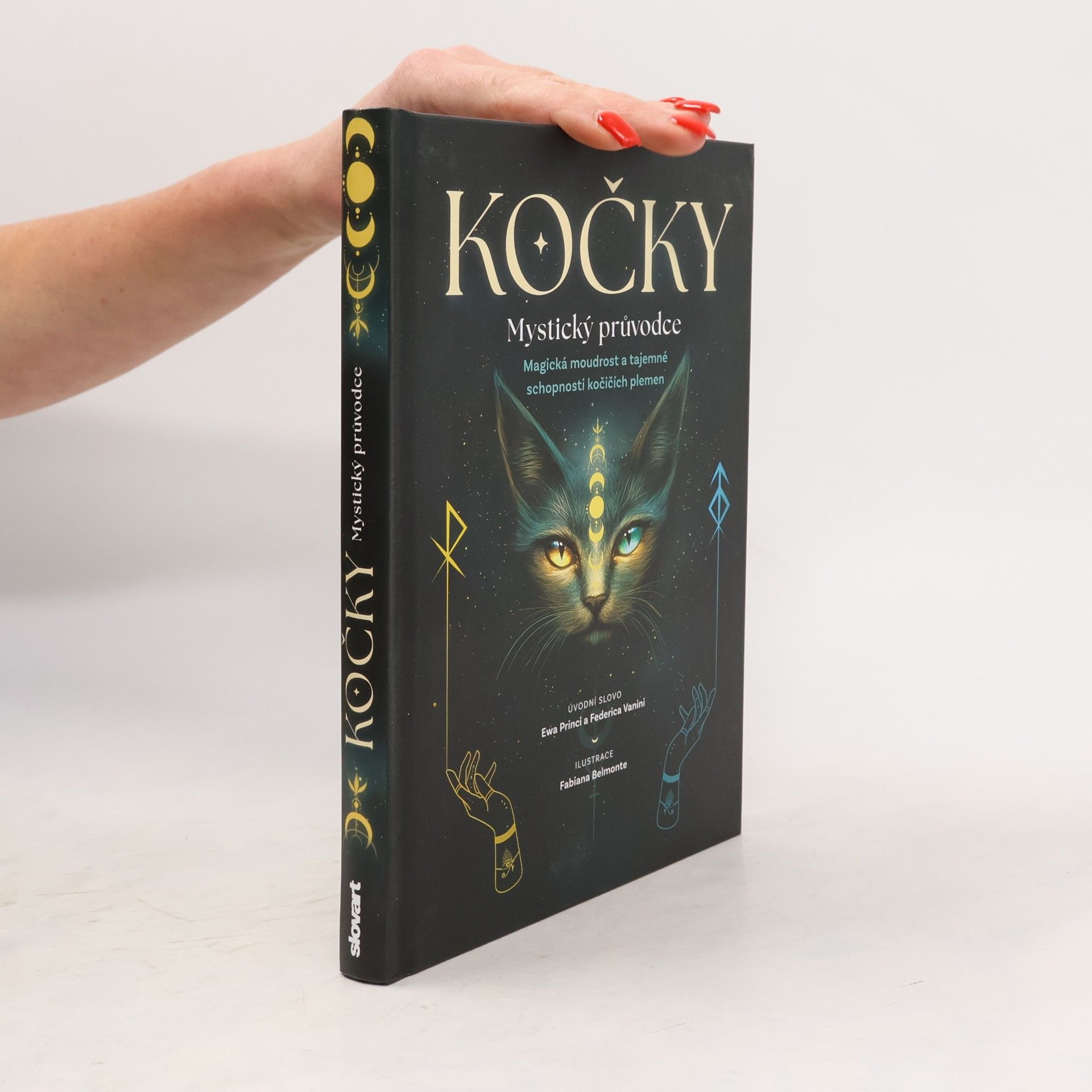 Kočky. Mystický průvodce: Magická moudrost a tajemné schopnosti kočičích plemen