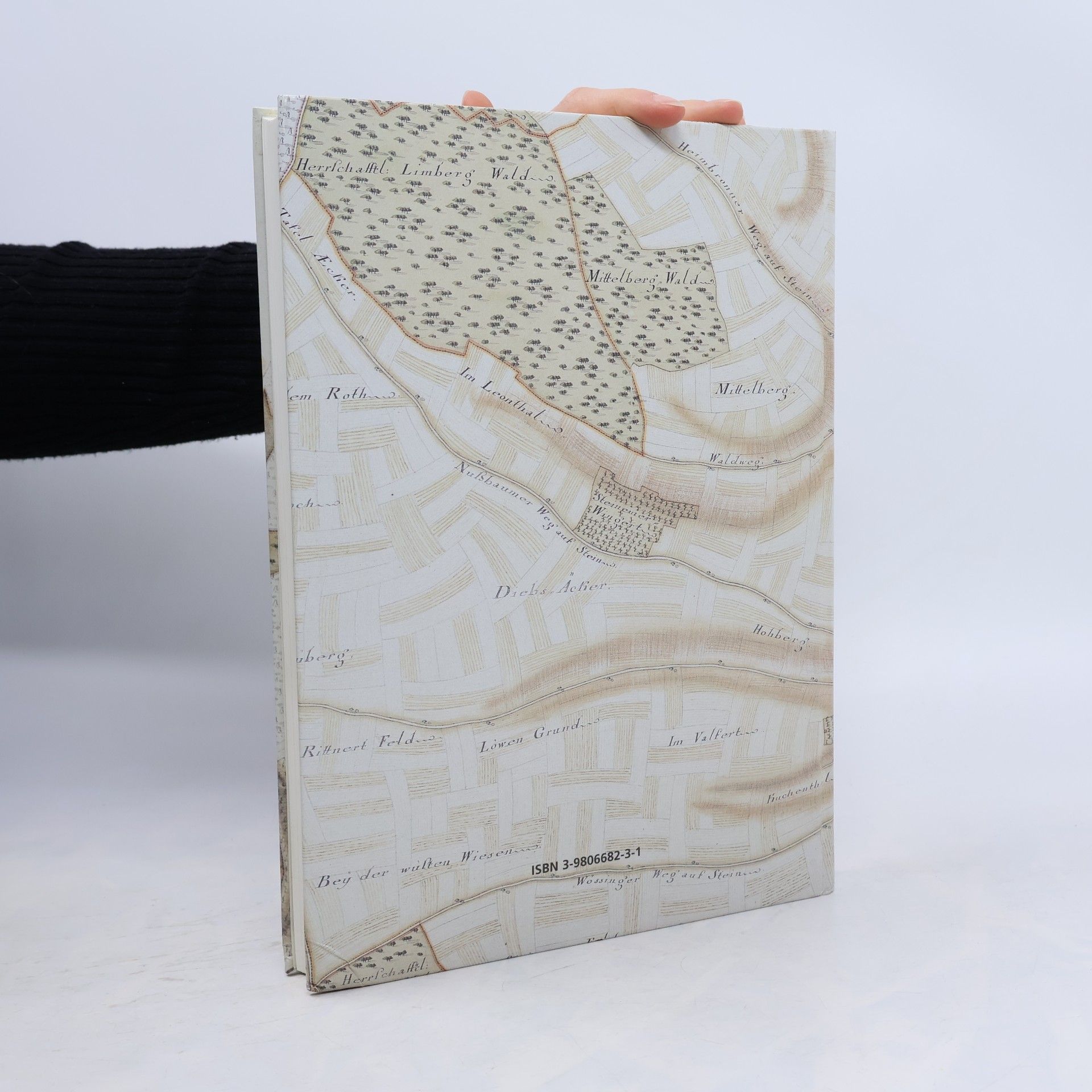 Ernst Hahner Ortsfamilienbuch Stein, Gemeinde Königsbach-Stein (Enzkreis)