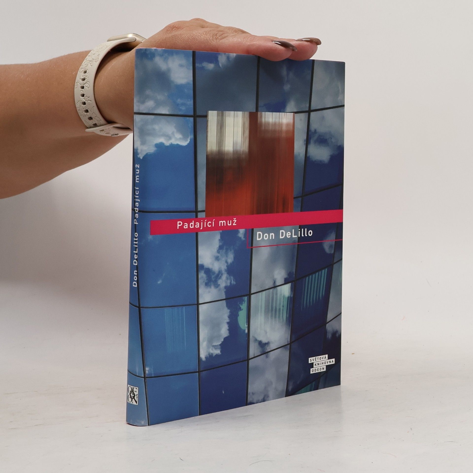 Don DeLillo Padající muž