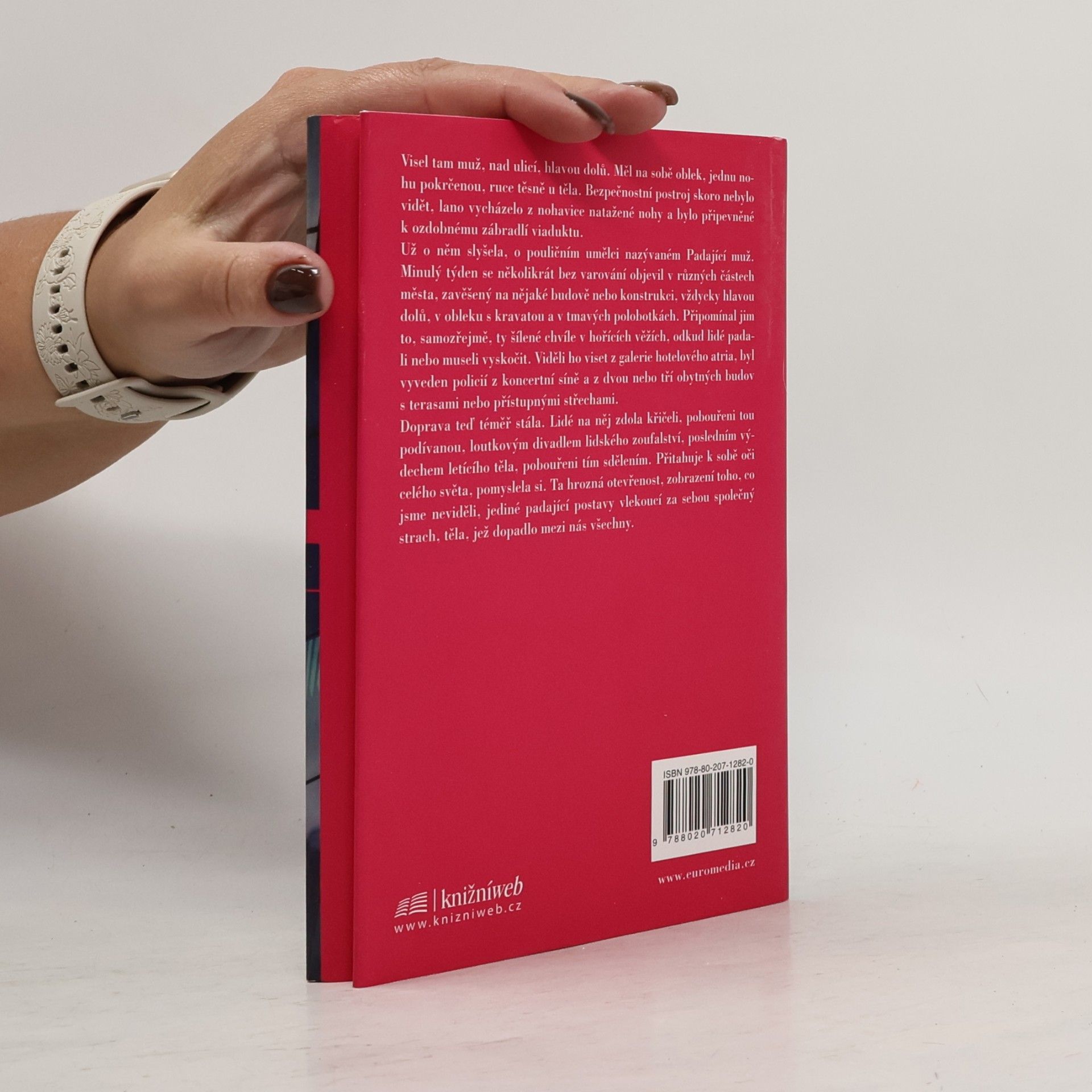 Don DeLillo Padající muž