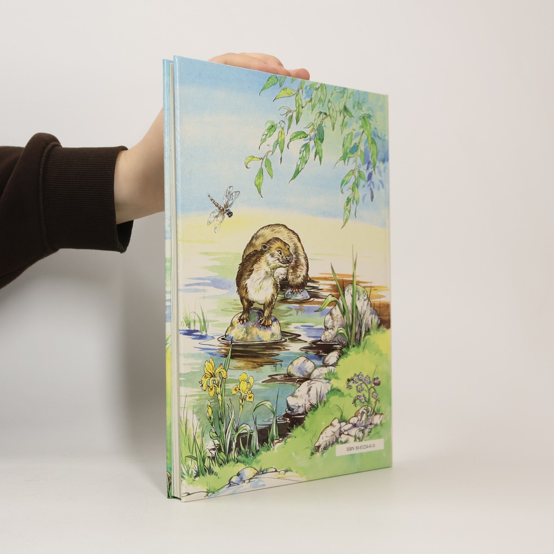 Kenneth Grahame Rozprávky spod vŕby