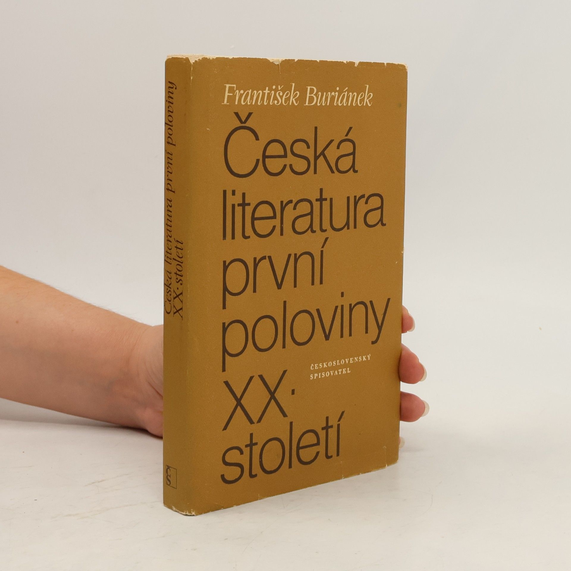Česká literatura první poloviny XX. století