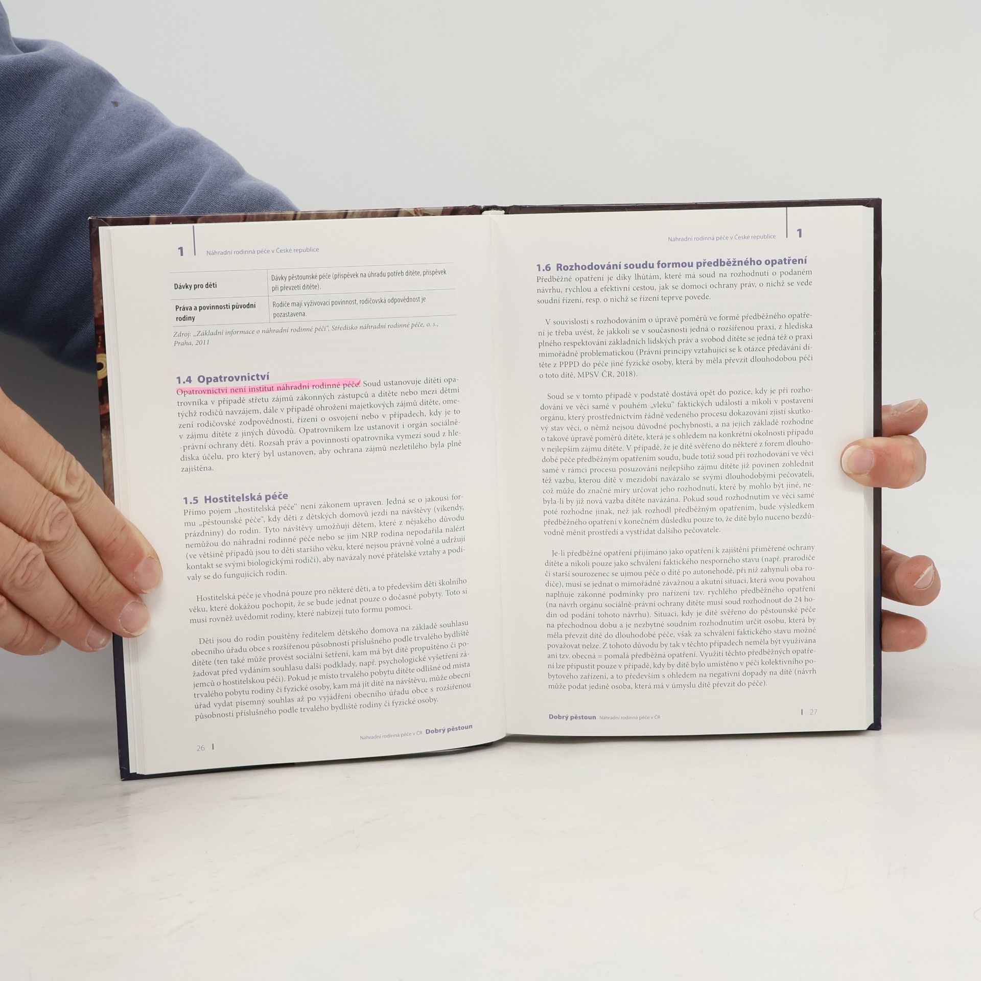Various authors Dobrý pěstoun - náhradní rodinná péče v ČR