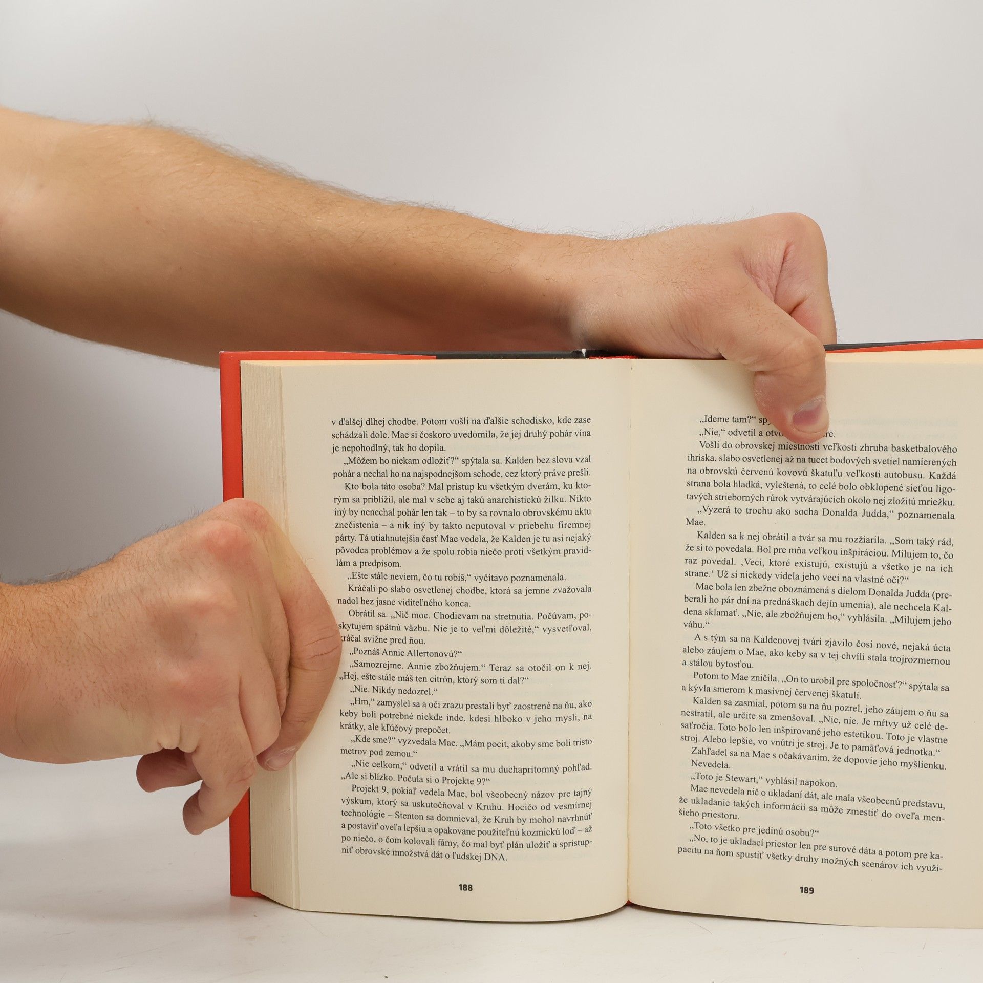 Dave Eggers Kruh