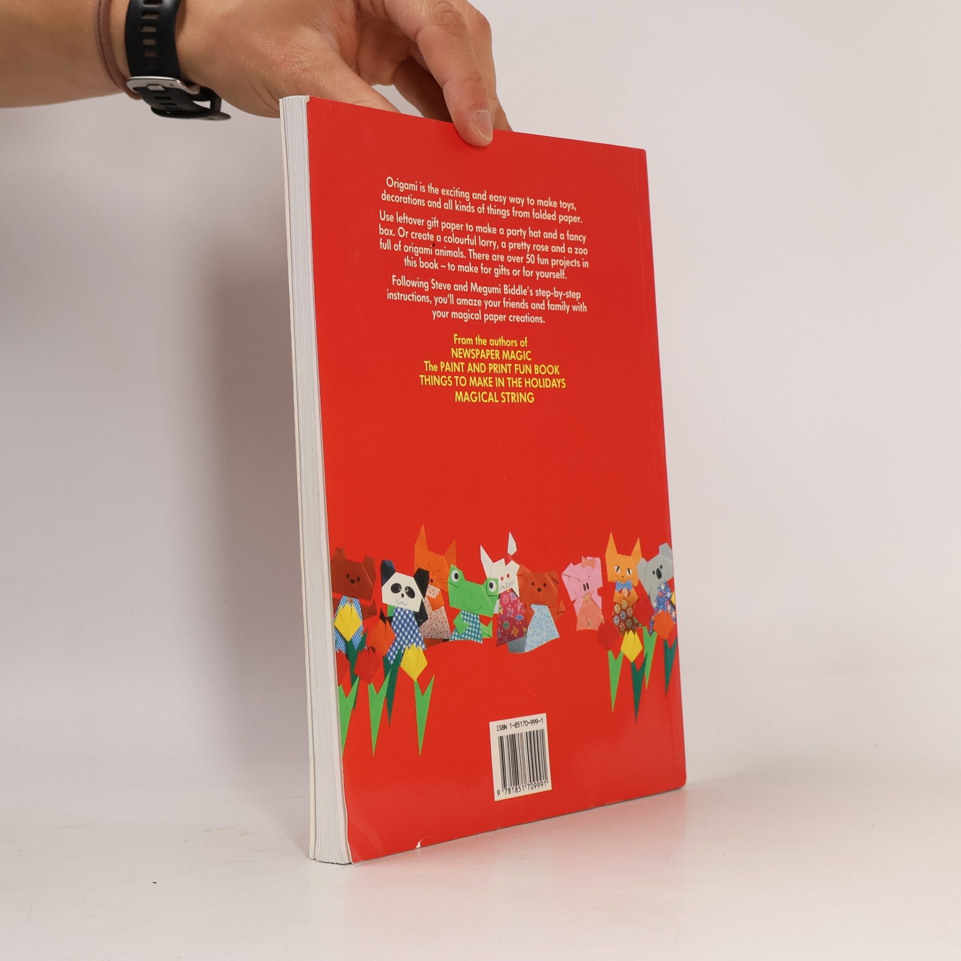 Megumi Biddle Amazing Origami for Children