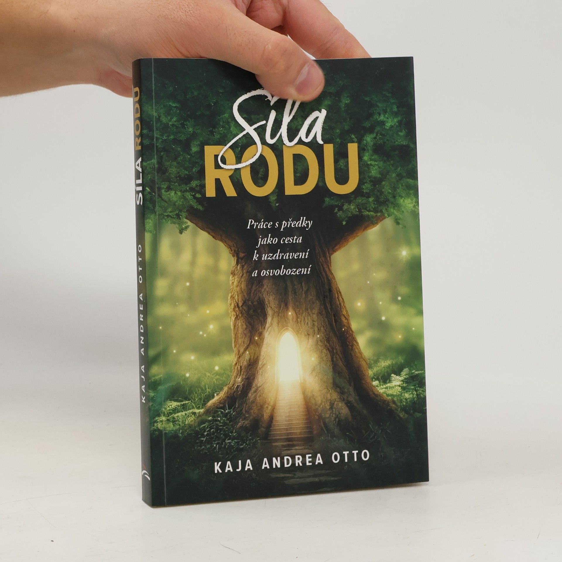 Síla rodu : práce s předky jako cesta k uzdravení a osvobození