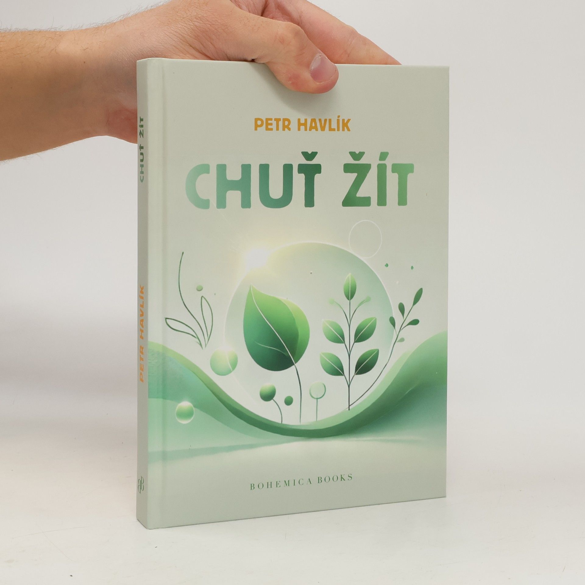 Petr Havlík Chuť žít