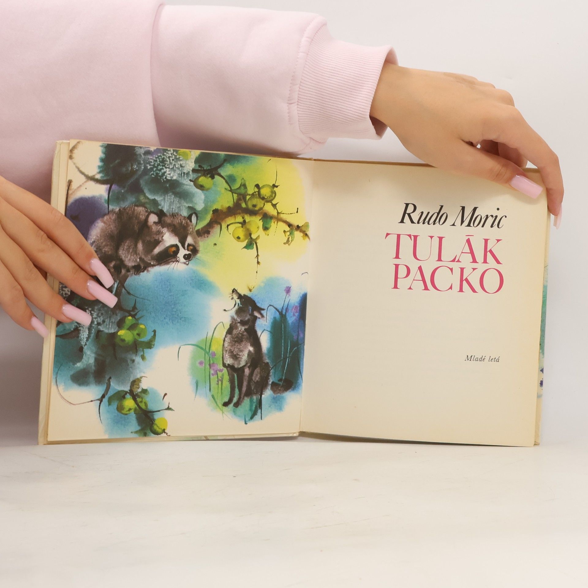Jiří Krásl Tulák Packo