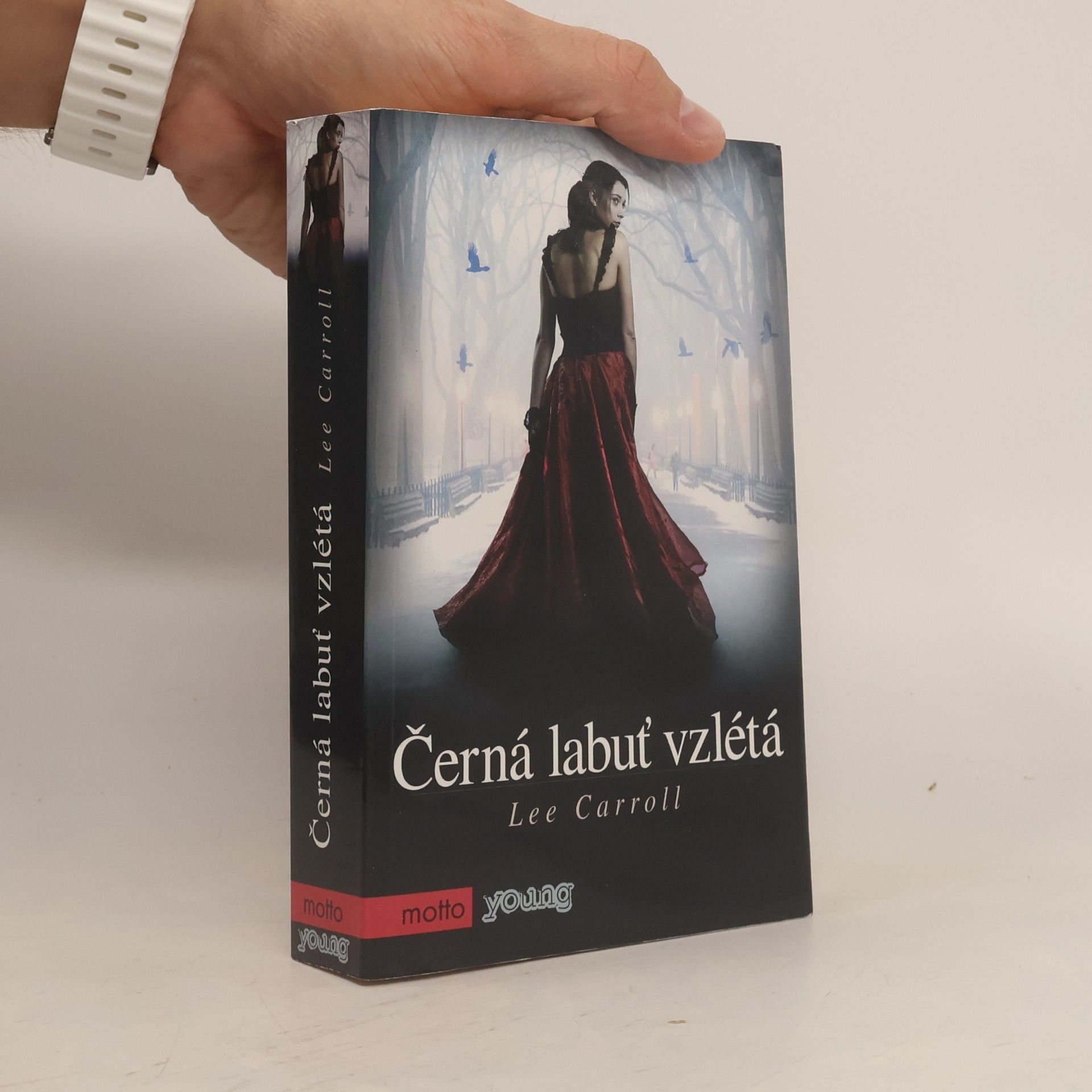 Lee Carroll Černá labuť vzlétá