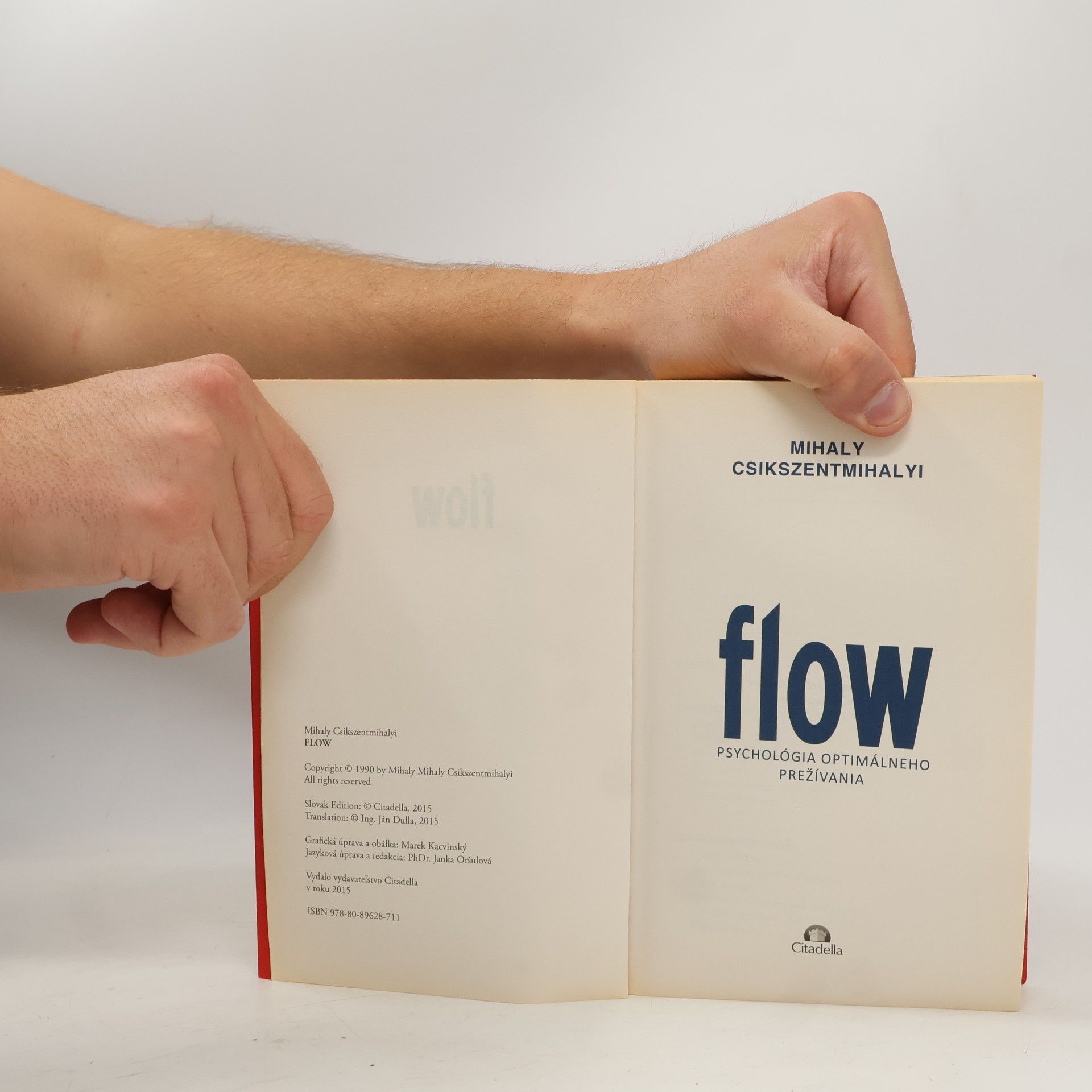 Mihaly Csikszentmihalyi Flow - Psychológia optimálneho prežívania