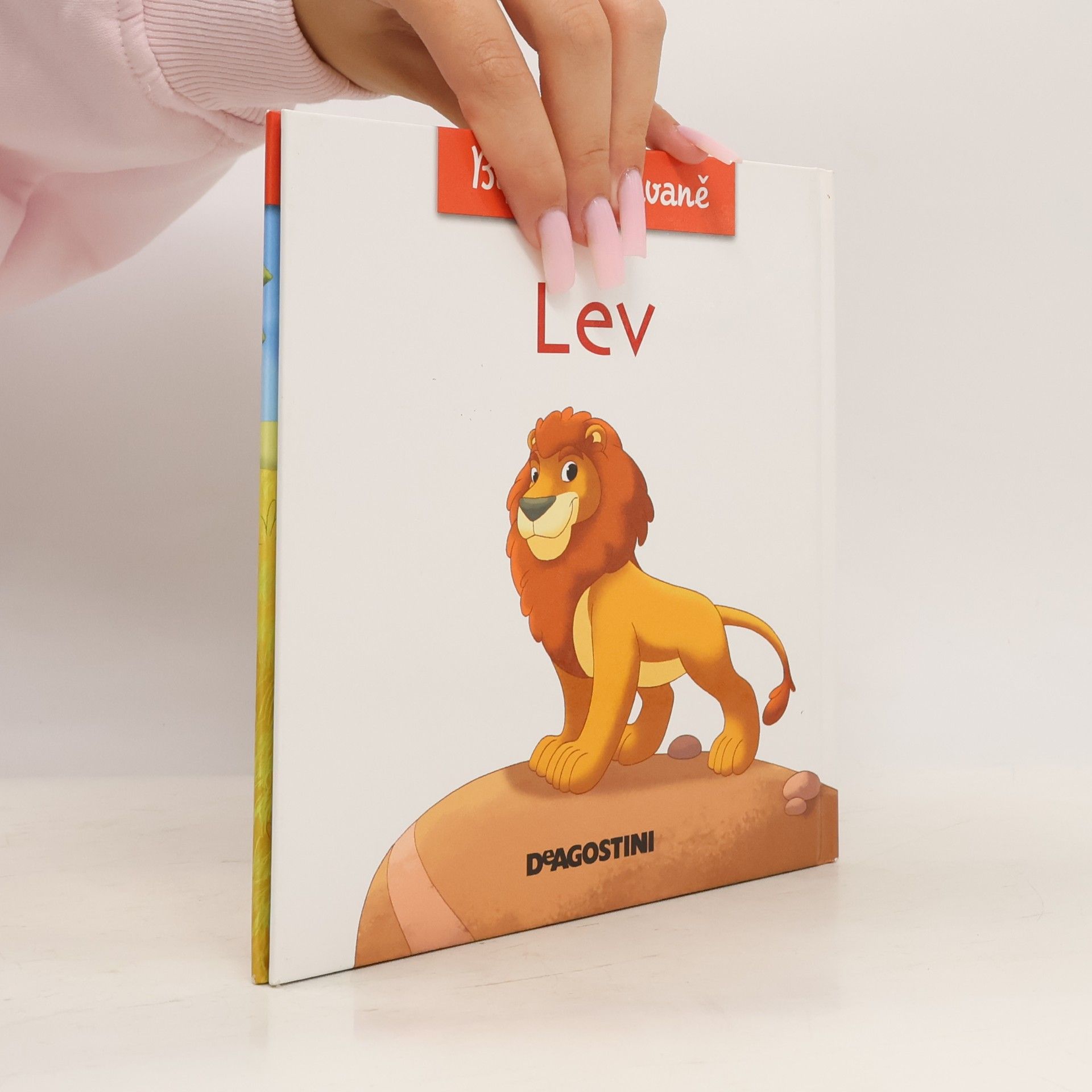 Autorenkollektiv Bydlím v savaně 1. Lev