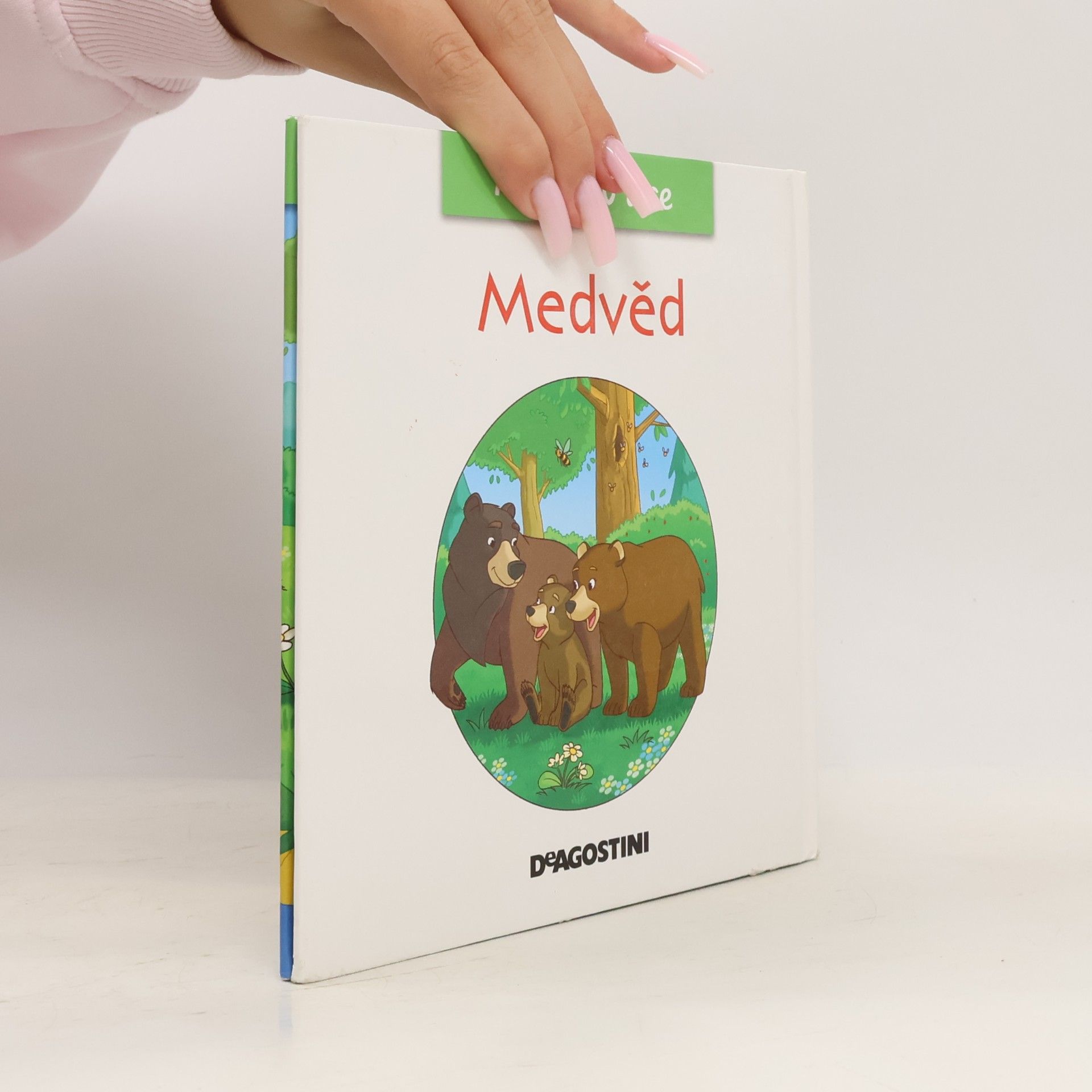 Kolektiv autorů Bydlím v lese 2. Medvěd
