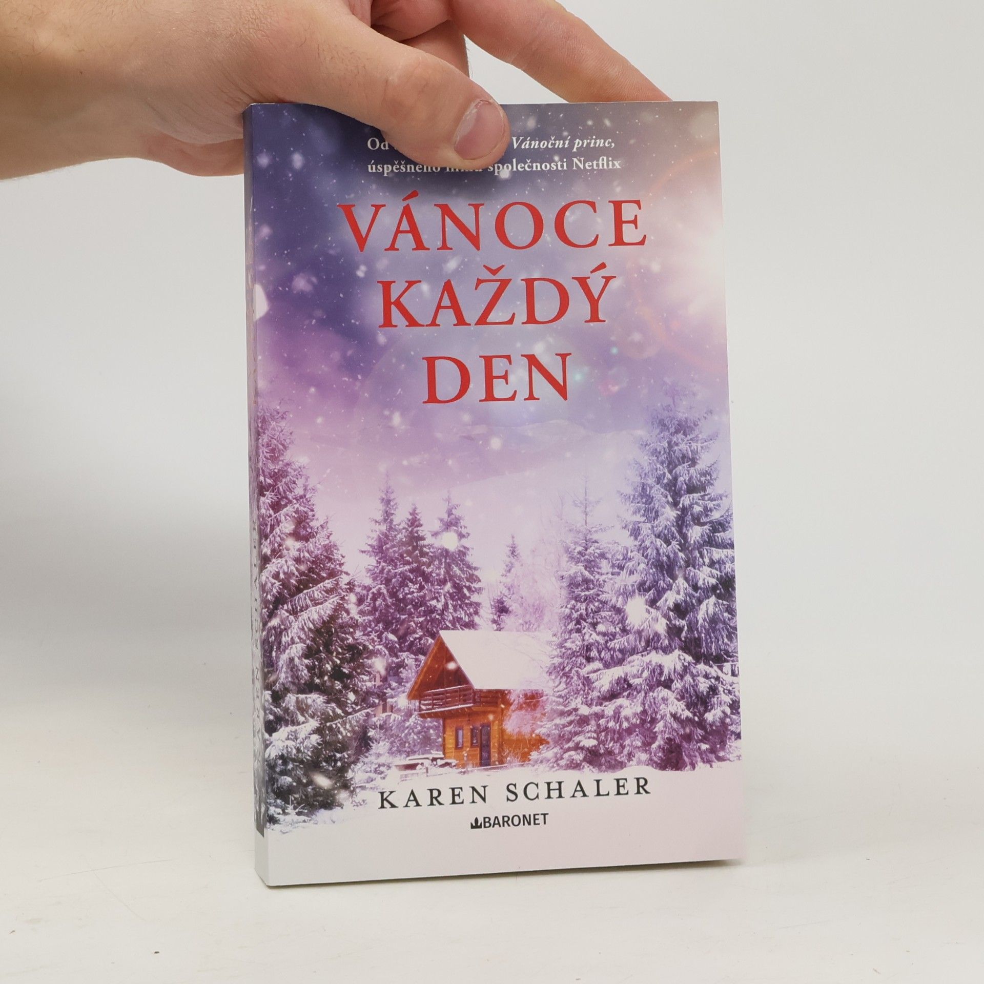 Karen Schaler Vánoce každý den
