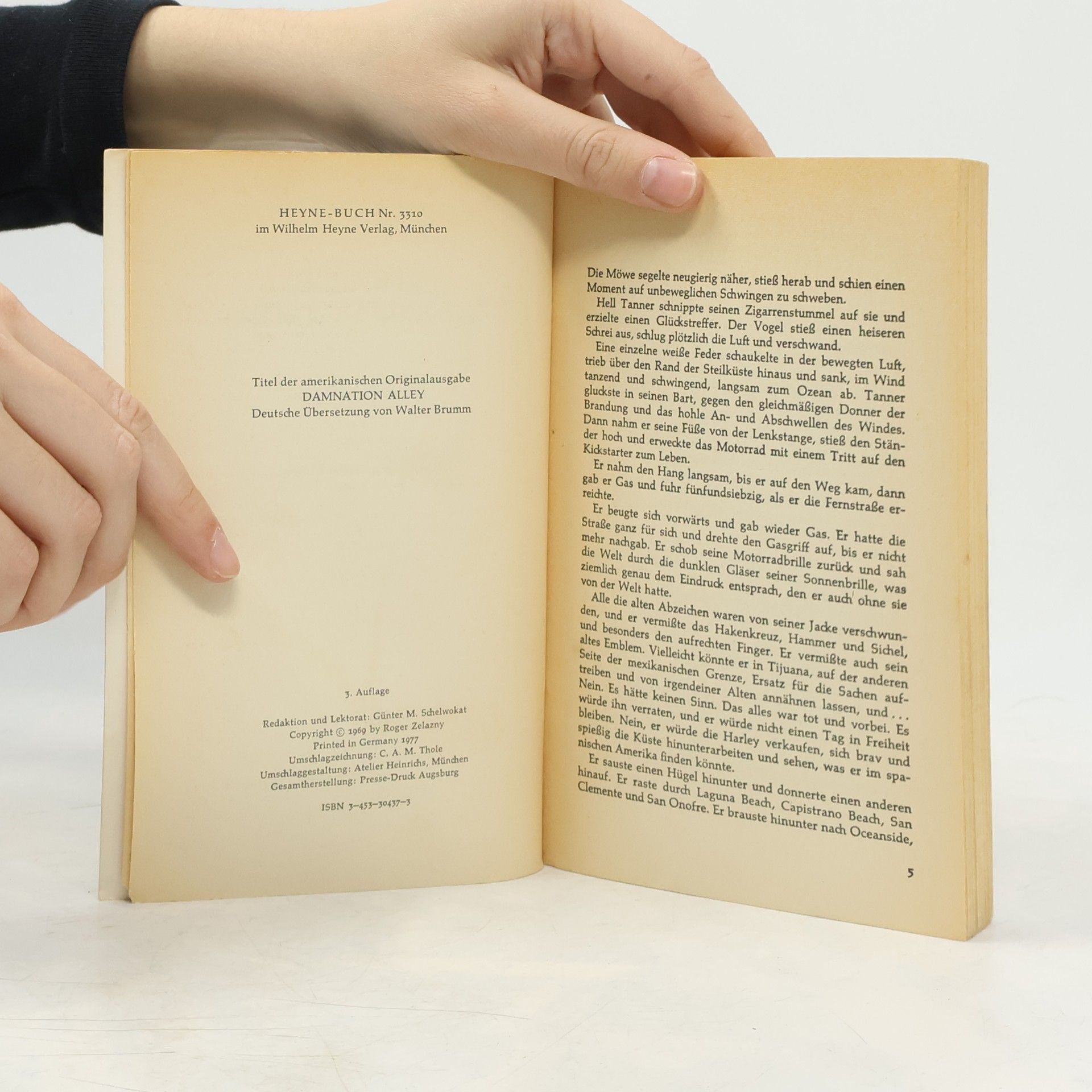 Roger Zelazny Straße der Verdammnis
