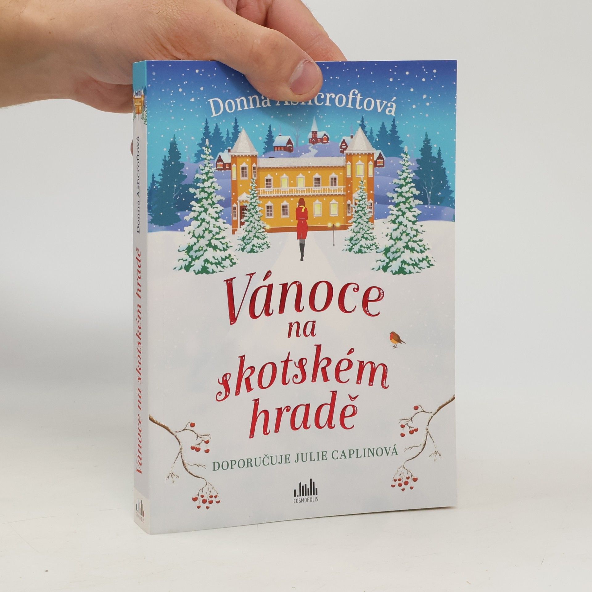 Donna Ashcroft Vánoce na skotském hradě