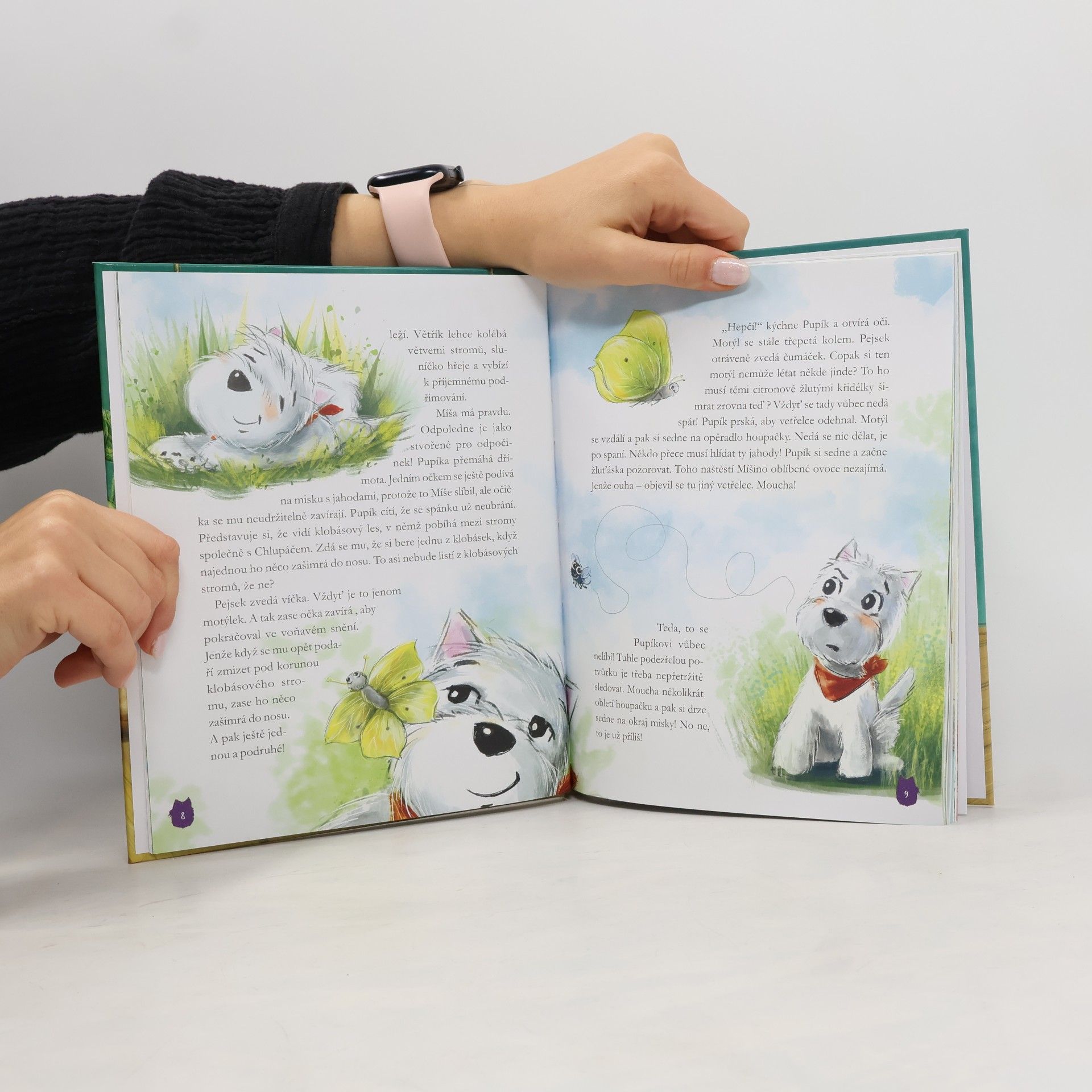 Aniela Cholewińska-Szkolik Pupík a jeho příhody: Setkání s tygrem