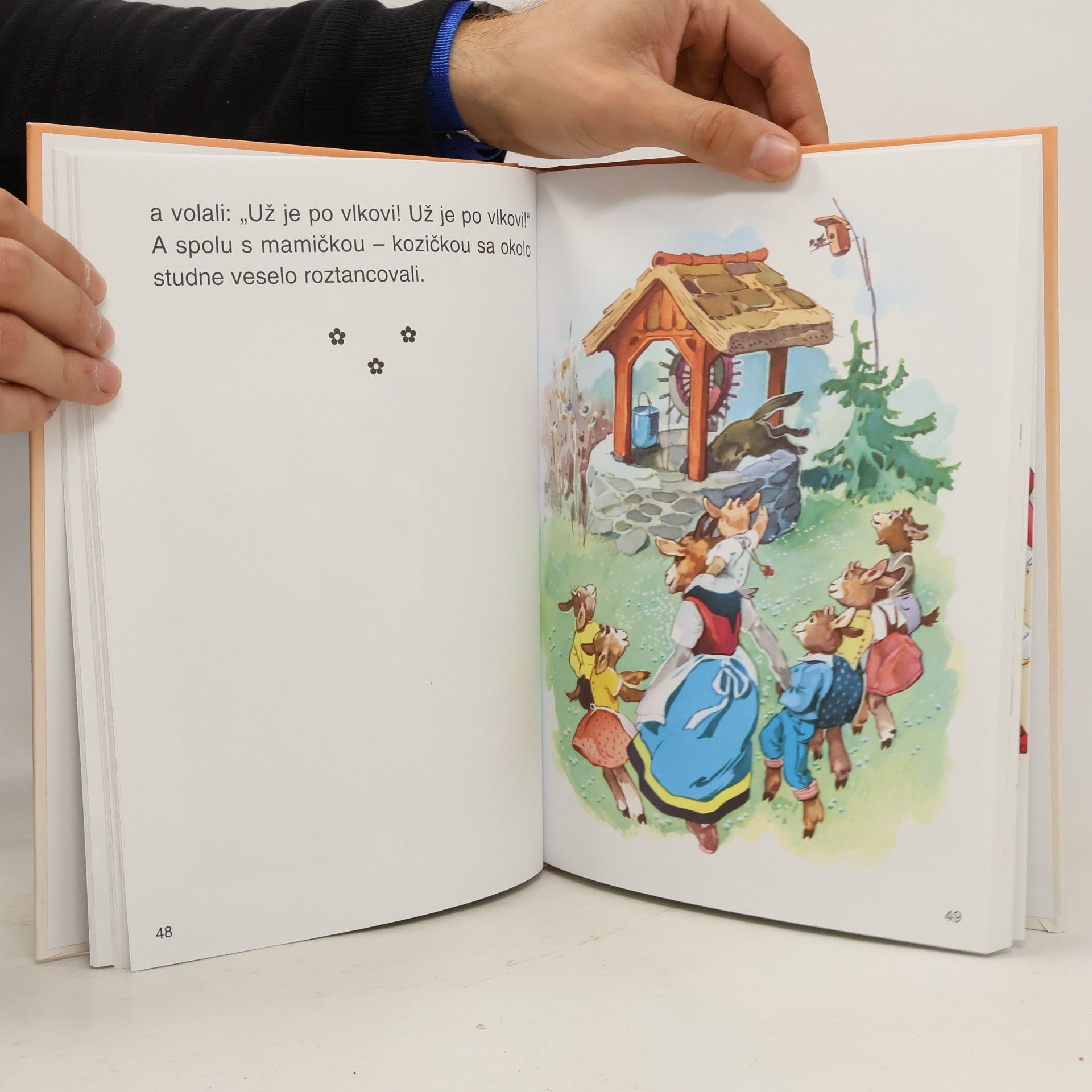Various authors Najkrajšie rozprávky bratov Grimmovcov