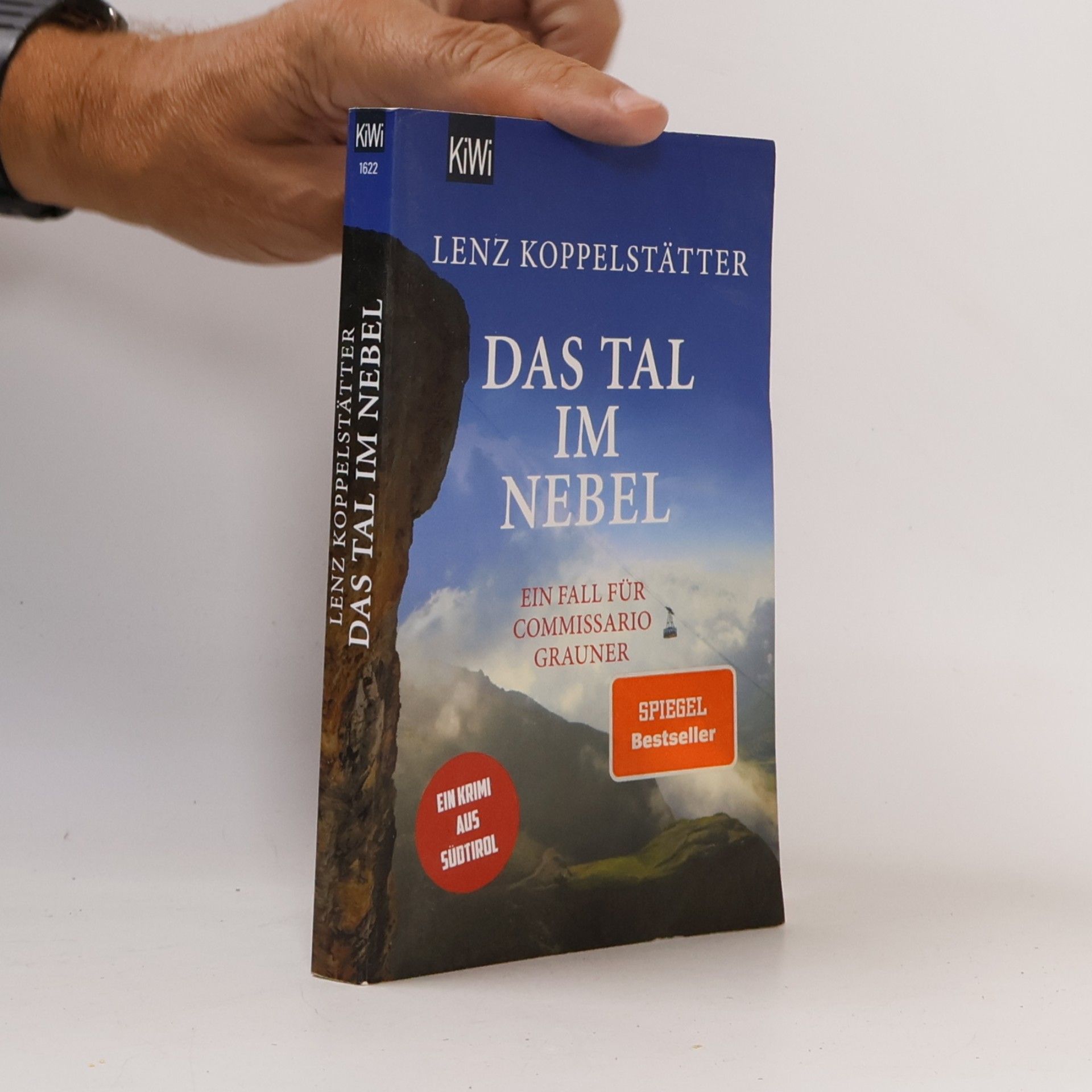 Das Tal im Nebel