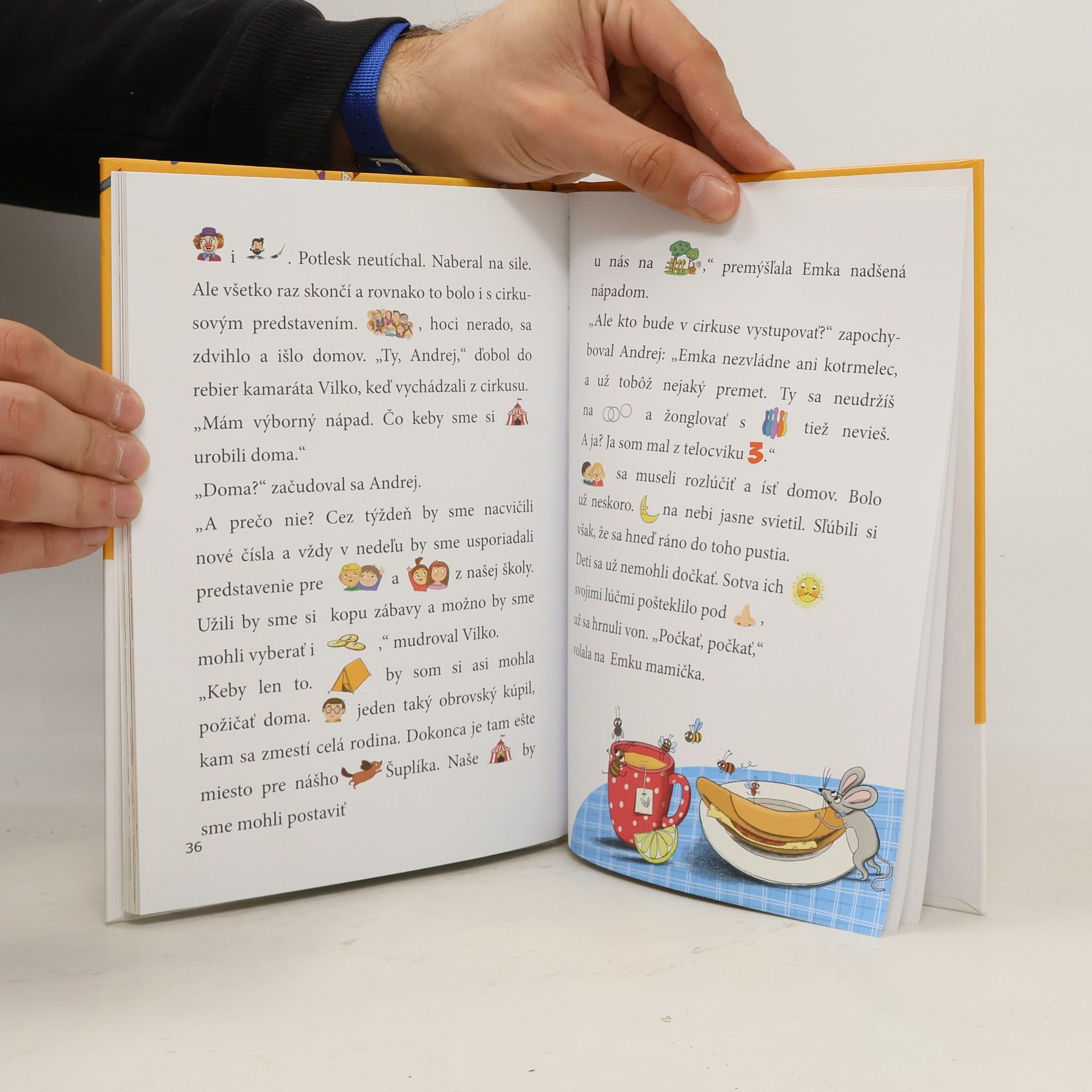 Autorenkollektiv Cirkus ide!