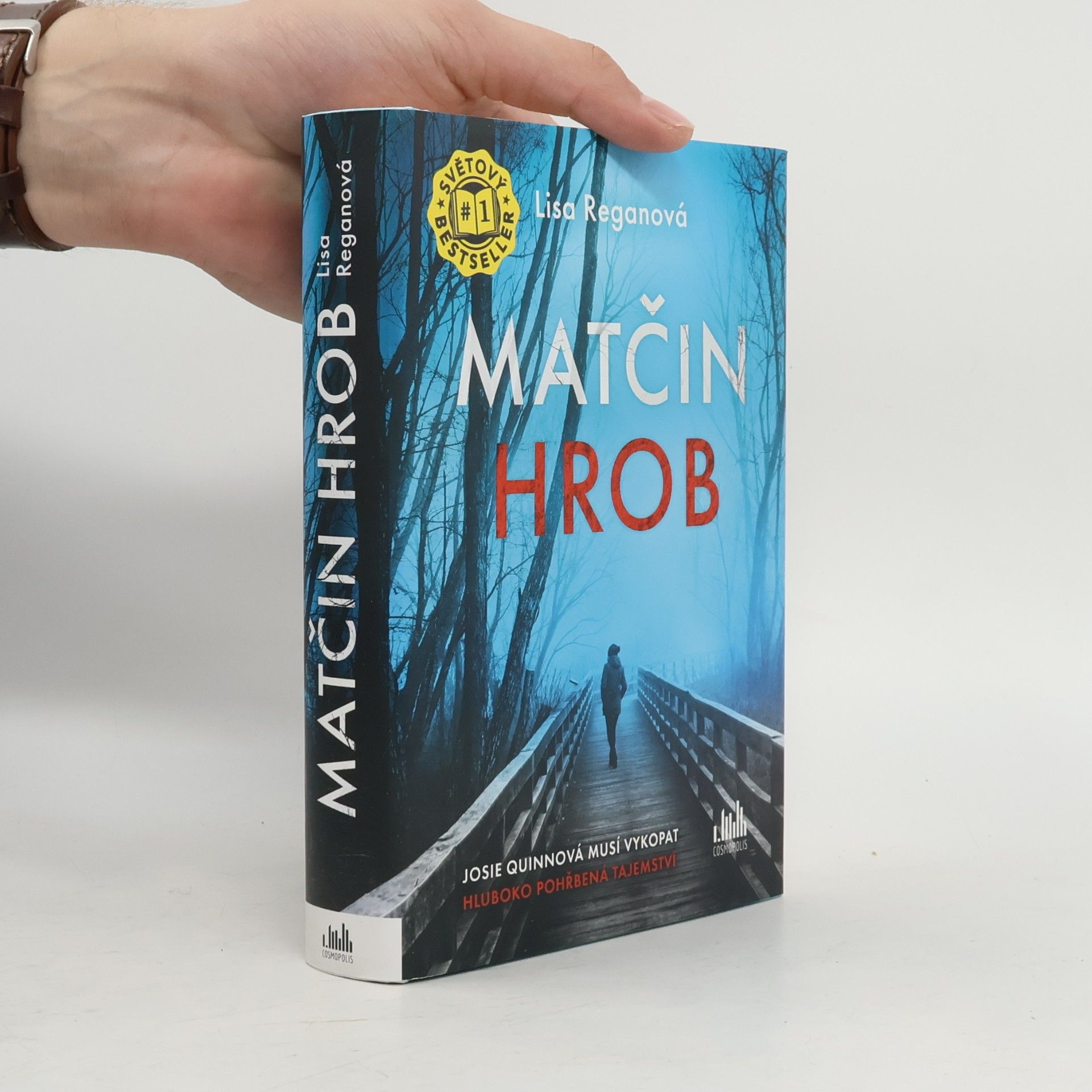 Lisa Regan Matčin hrob