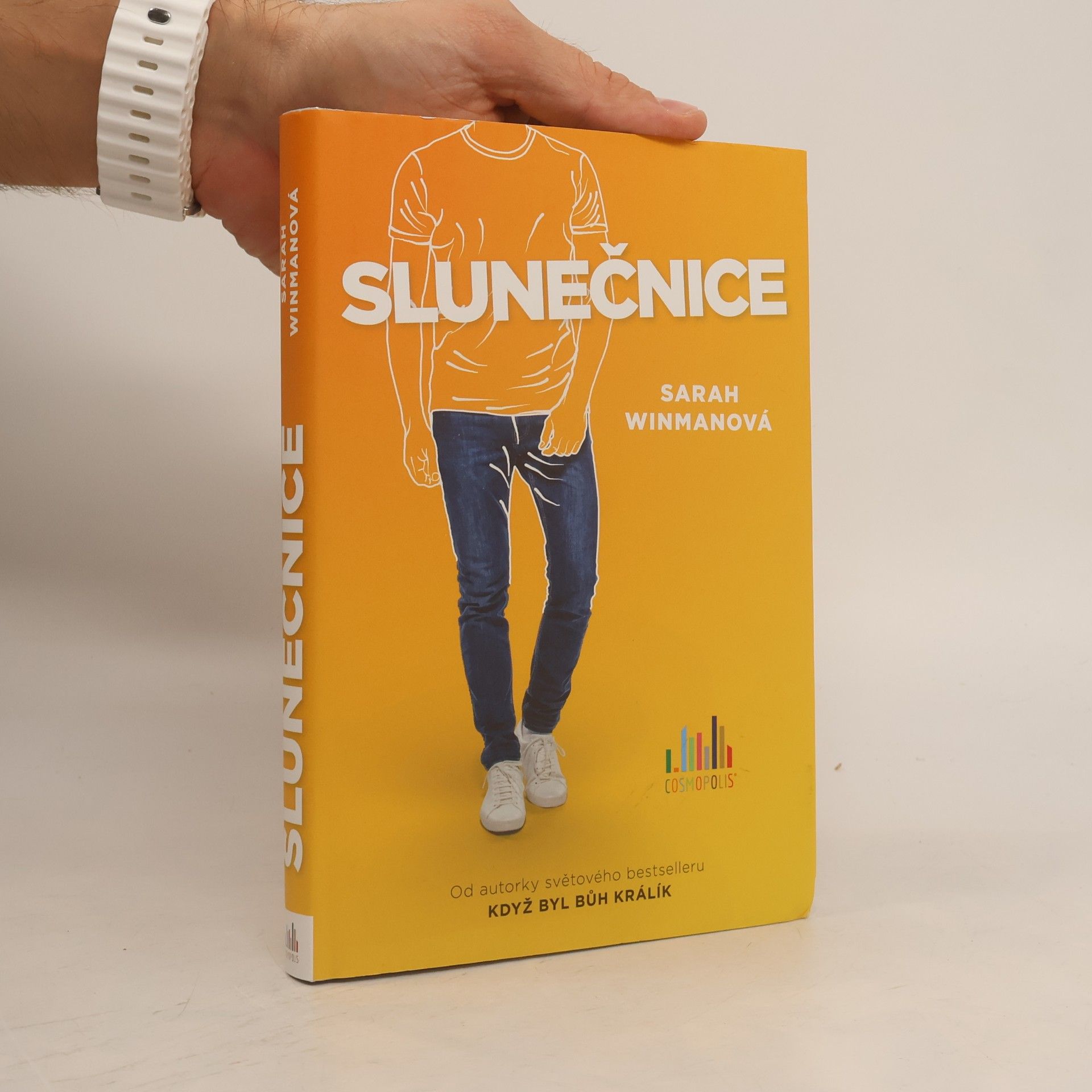 Sarah Winman Slunečnice