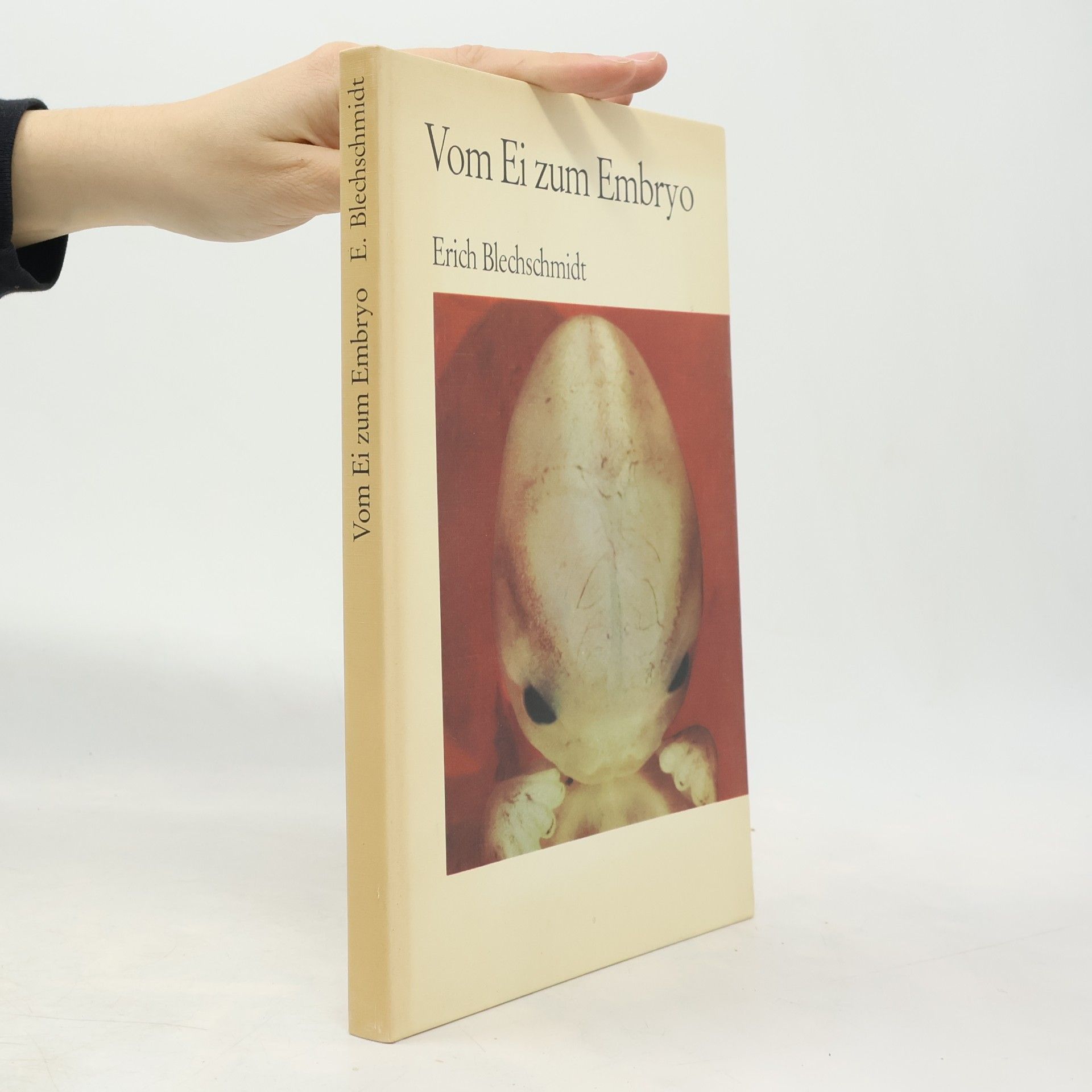 Vom Ei zum Embryo