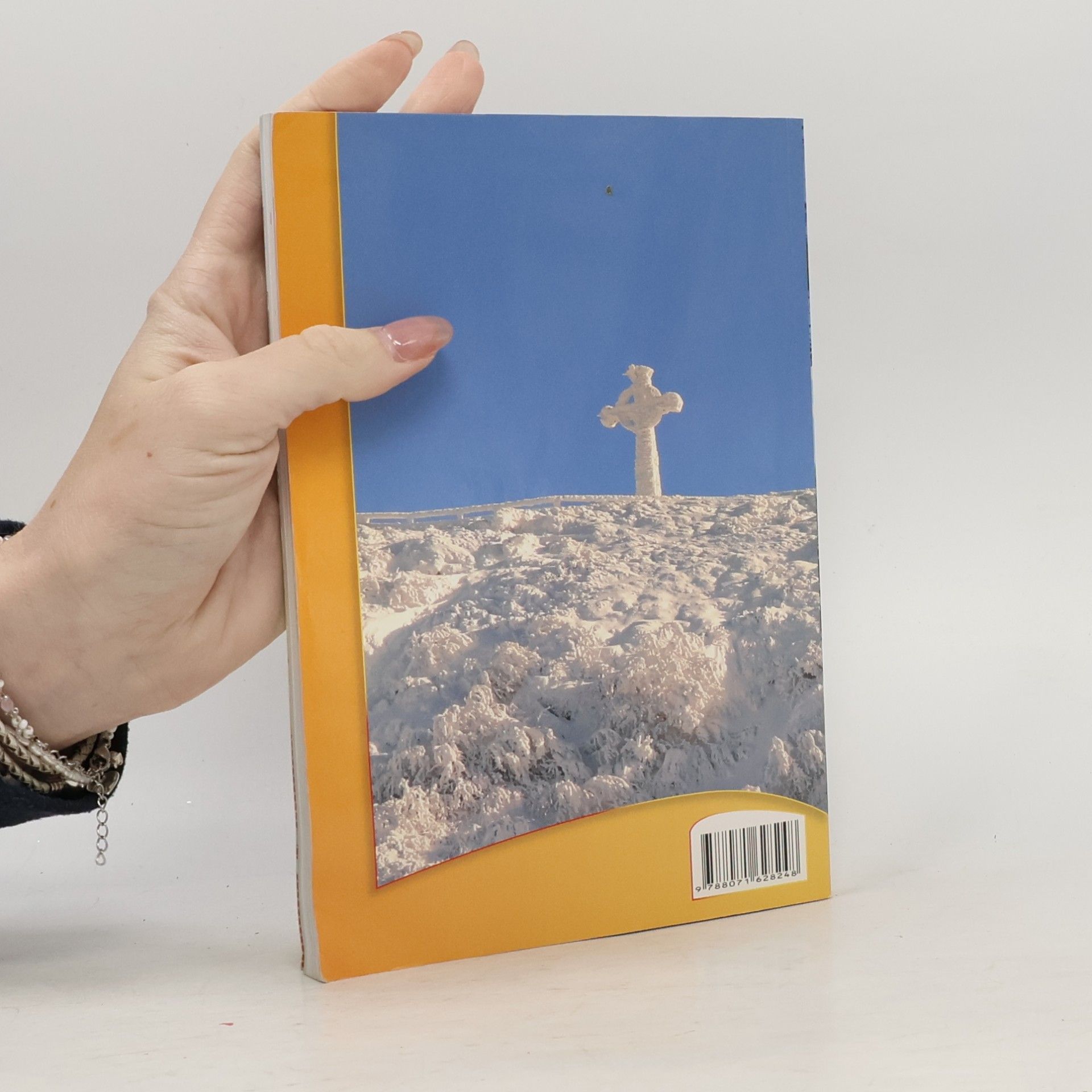 Autorenkollektiv Pútnik svätovojtešský 2011