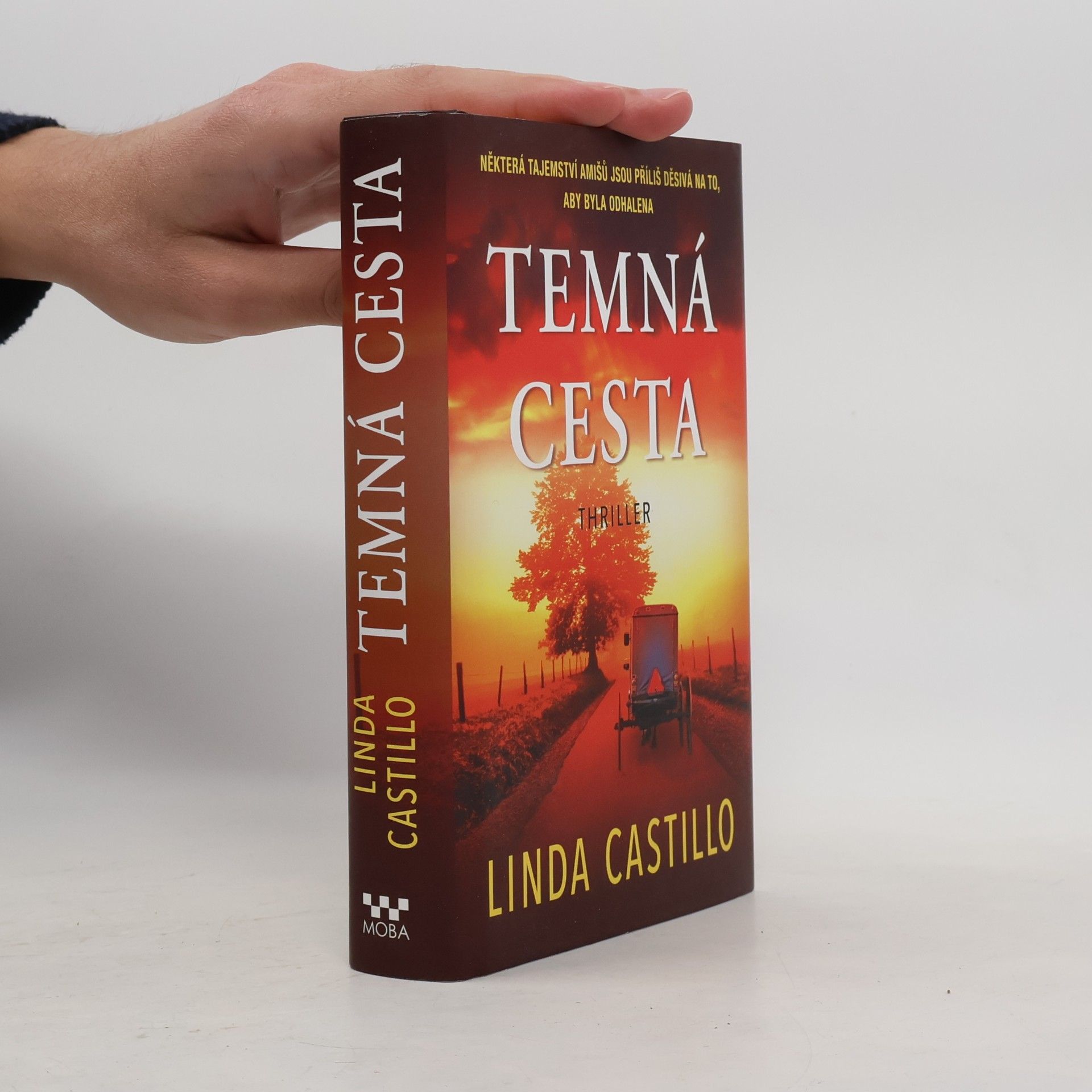 Linda Castillo Temná cesta