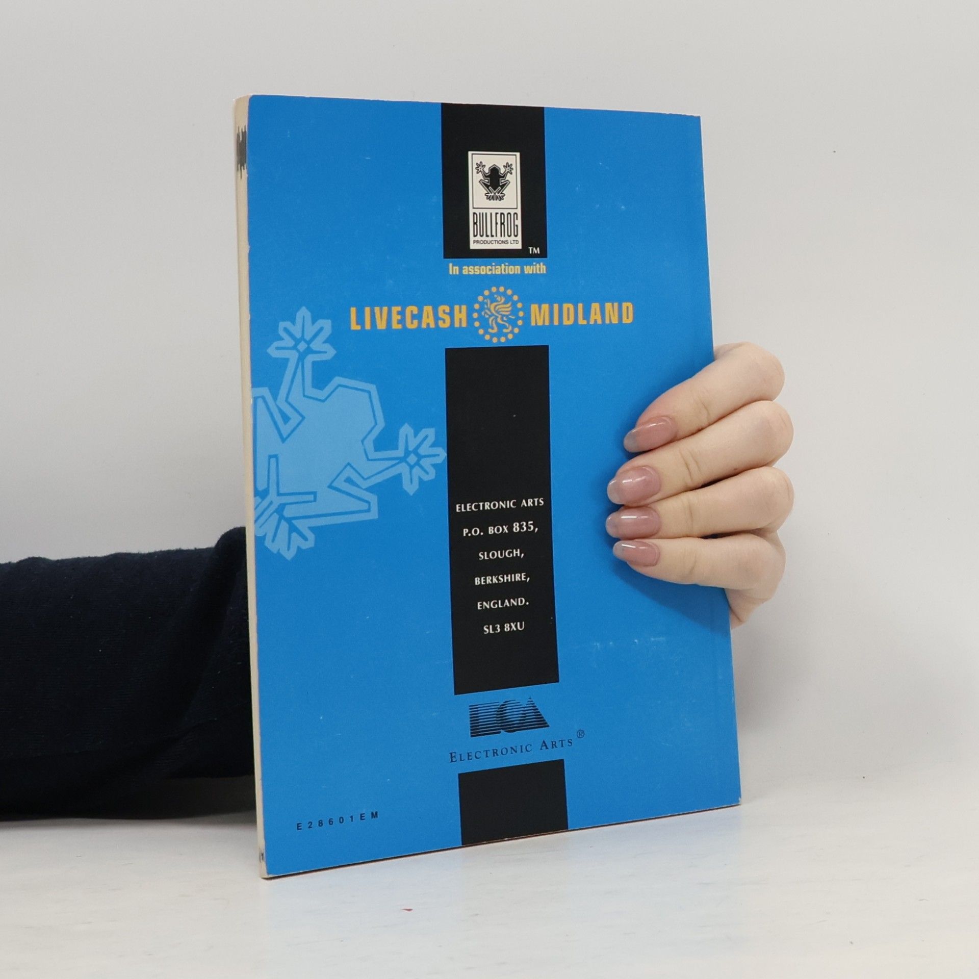 Various authors Theme Park. New Business Portfolio