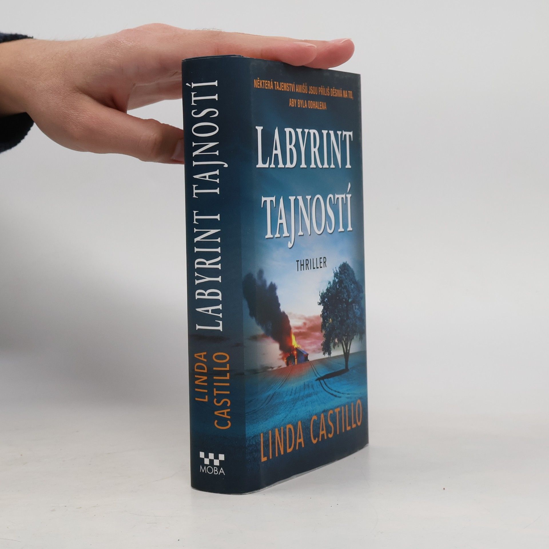 Linda Castillo Labyrint tajností