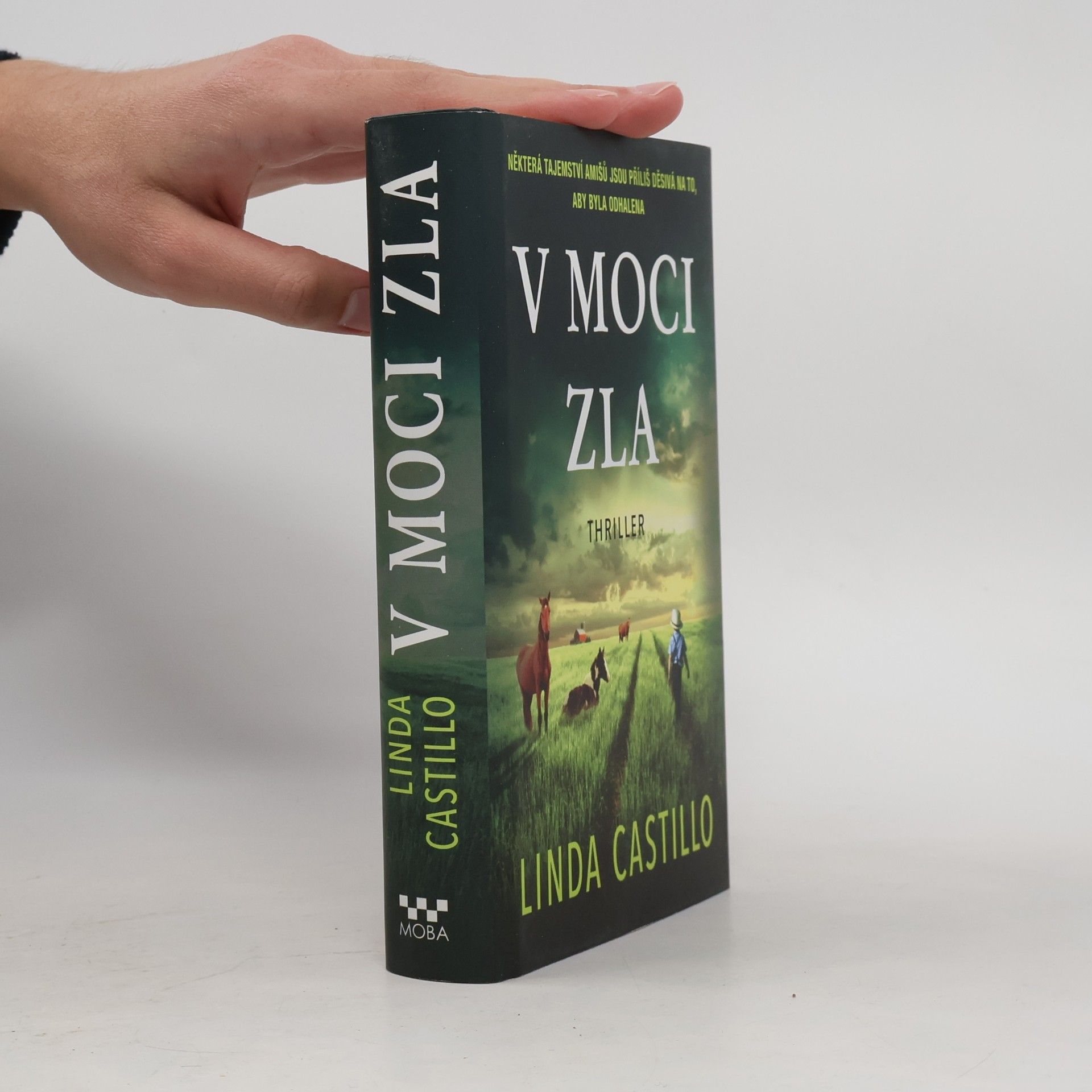 Linda Castillo V moci zla