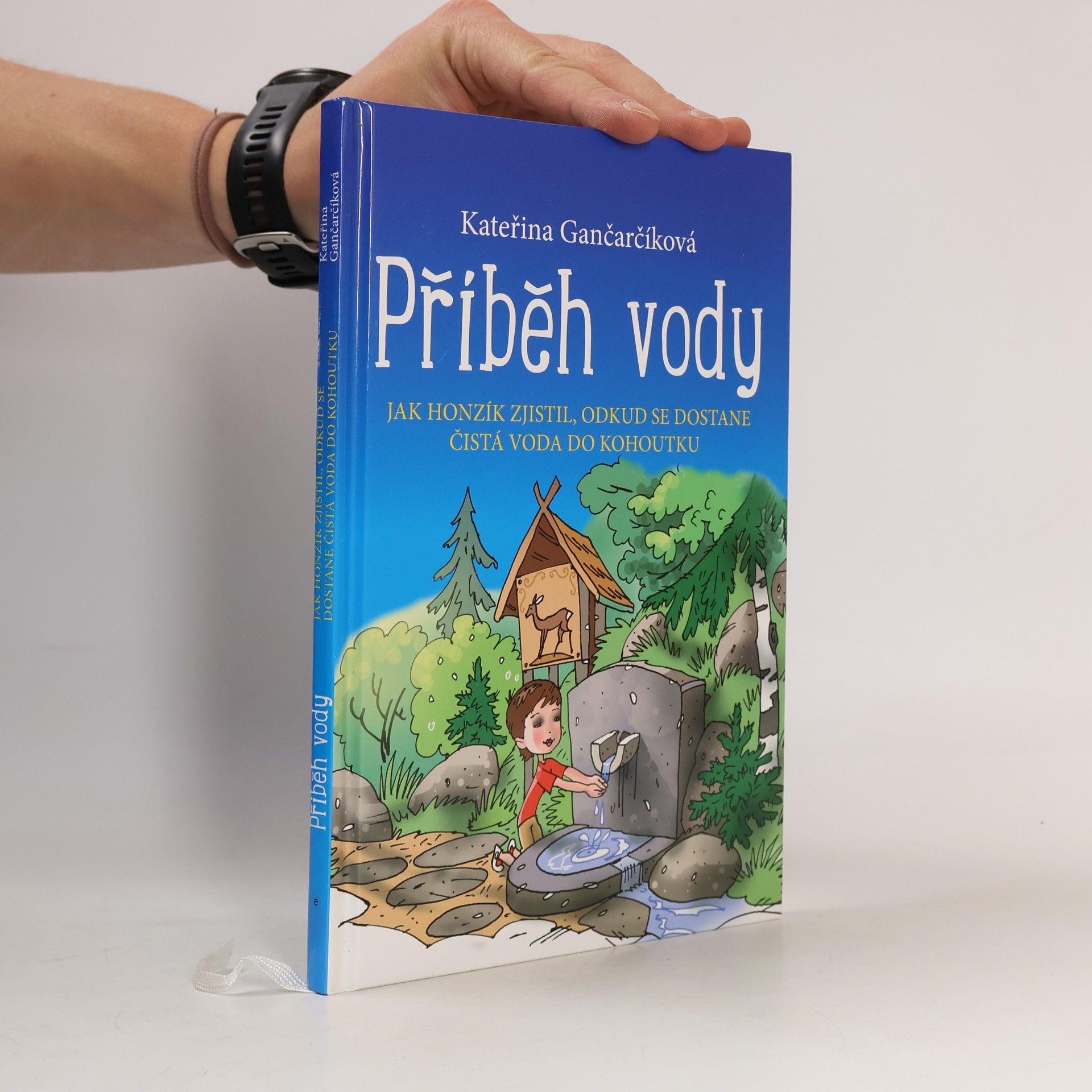 Příběh vody